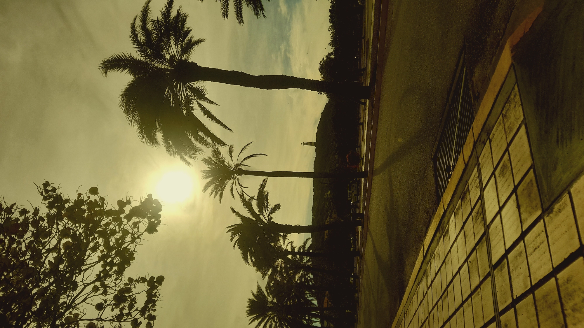 The image depicts a scene with silhouetted palm trees against a bright, hazy sky, suggesting it was taken during daylight hours. A prominent sun is visible near the top center of the frame, casting long shadows. In the distance, a lighthouse stands on a hill surrounded by vegetation. In the foreground, a paved walkway with a tiled pattern runs along a grassy area adjacent to a road. The overall color tone is sepia, giving the image an aged or vintage appearance. The location is identified as the city of Pedro González, Venezuela. No people or specific actions are clearly discernible in the image.