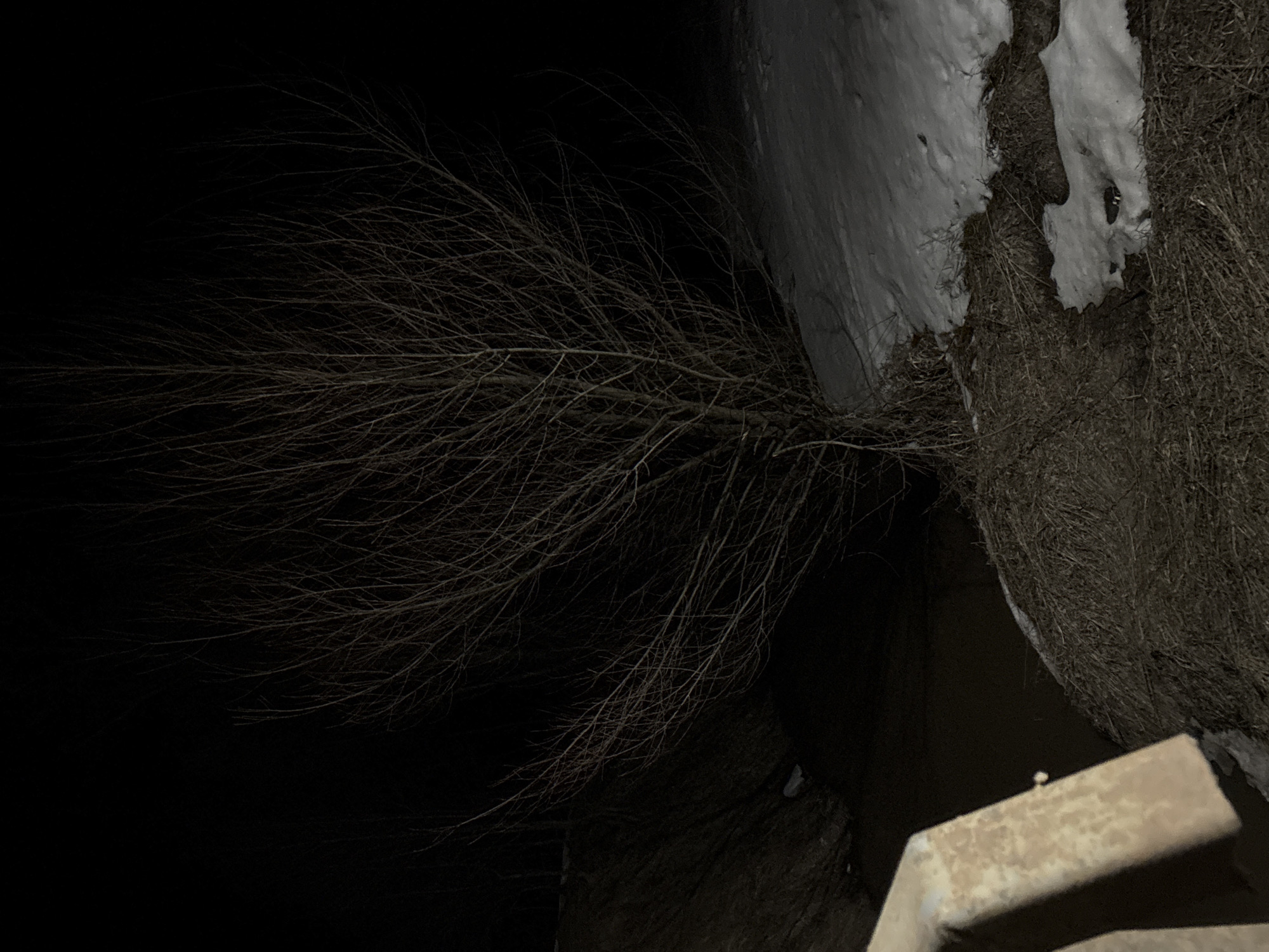 The image presents a dark, low-light scene. A tree with bare branches stretches from the left side into the frame. To the right, there's what appears to be a hay bale partially covered in snow. A concrete or stone structure is visible in the bottom right corner. The environment seems to be outdoors at night. There are no people visible. The location and its city Rusalevka, Russia, cannot be confirmed with the data from the image.