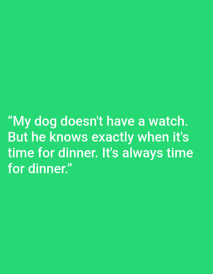 The image is a photograph of a white text overlay on a bright green background. The text reads: "My dog doesn't have a watch. But he knows exactly when it's time for dinner. It's always time for dinner." There are no people, subjects, objects, actions, interactions, or environmental details visible in the image. The location of Kępno, Poland is not relevant to this image.