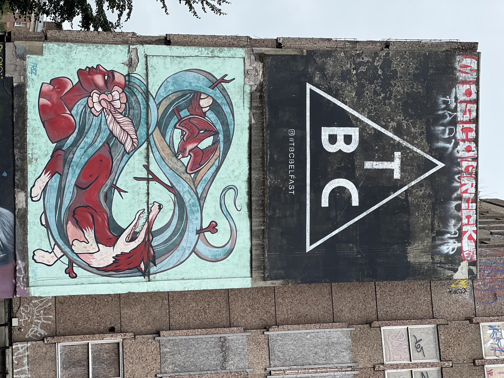 The image shows a close-up, vertically oriented view of graffiti art on the exterior of a Brutalist-style building in Belfast, United Kingdom. The artwork is divided into two main sections. The upper section features a large, black rectangle with a white triangle containing the letters "TBC" in white. Below this, in white text, is the hashtag "#TBCBELFAST". Above the black rectangle, red graffiti text is visible. The lower section of the building is covered by a vibrant mural on a teal background. This mural depicts a stylized human-like figure with red skin and long, flowing blue hair, adorned with a large feather and flower. A red fox-like creature with its mouth open is integrated into the swirling blue hair, appearing to chase itself in a circle. The building itself appears weathered, with sections of concrete and exposed rebar. The windows on the right side of the building are boarded up with plywood. The surrounding environment suggests an urban setting, with the top of a tree visible on the left. The overall impression is one of urban decay juxtaposed with bold, artistic expression.