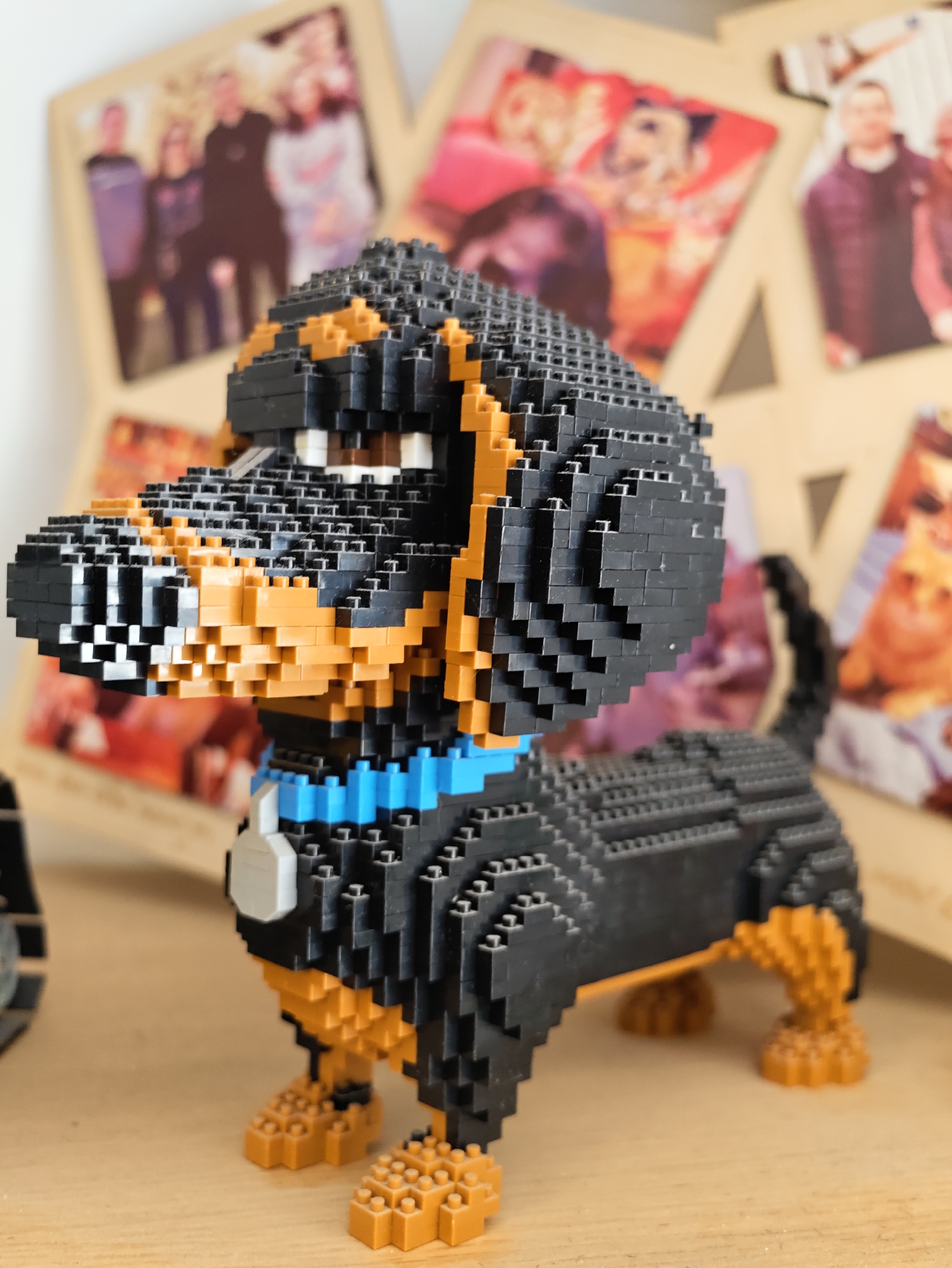 The image shows a close-up of a brick-built dachshund figurine. The figurine is primarily black and tan, with a blue collar around its neck. It is positioned on a wooden surface. In the background, there are several unfocused photographs displayed on what appears to be a frame or easel. These photographs show various people and possibly pets, with a warm, sepia-toned aesthetic. The overall setting suggests an indoor environment, likely a home or display area. There is no visible indication of the city of Petah Tikva, Israel in the image.