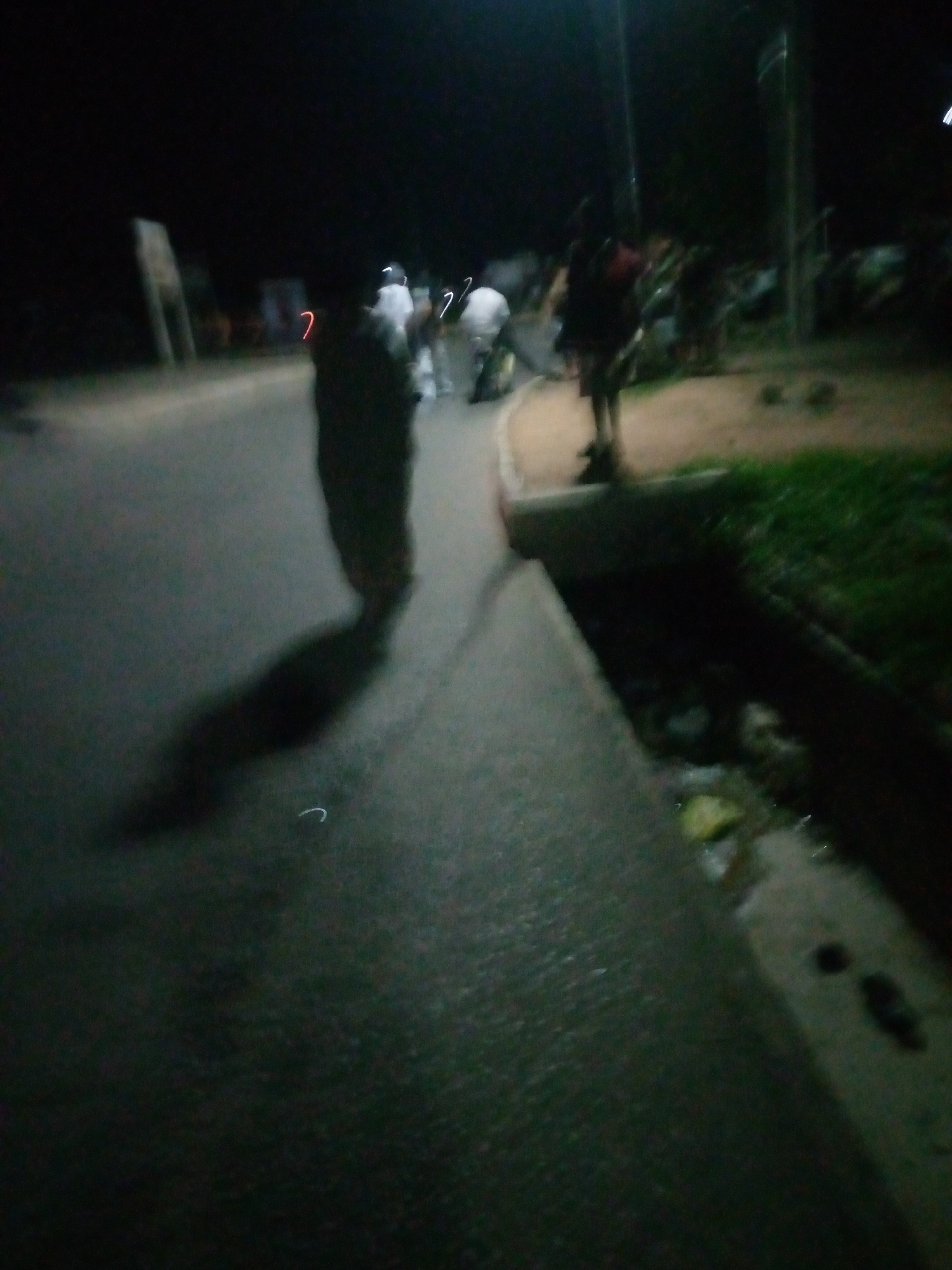The image, taken at night in Jalingo, Nigeria, depicts a street scene with several individuals. In the foreground, a person is walking on a paved road, casting a long shadow. Further down the road, other figures are visible, some appearing to be in motion or gathered. The environment includes a roadside drain with debris, and vegetation along the side of the road. The lighting suggests artificial illumination from streetlights or nearby structures, creating a dimly lit atmosphere. The quality of the image is poor, with significant blurriness and low resolution, making precise identification of individuals and objects challenging.