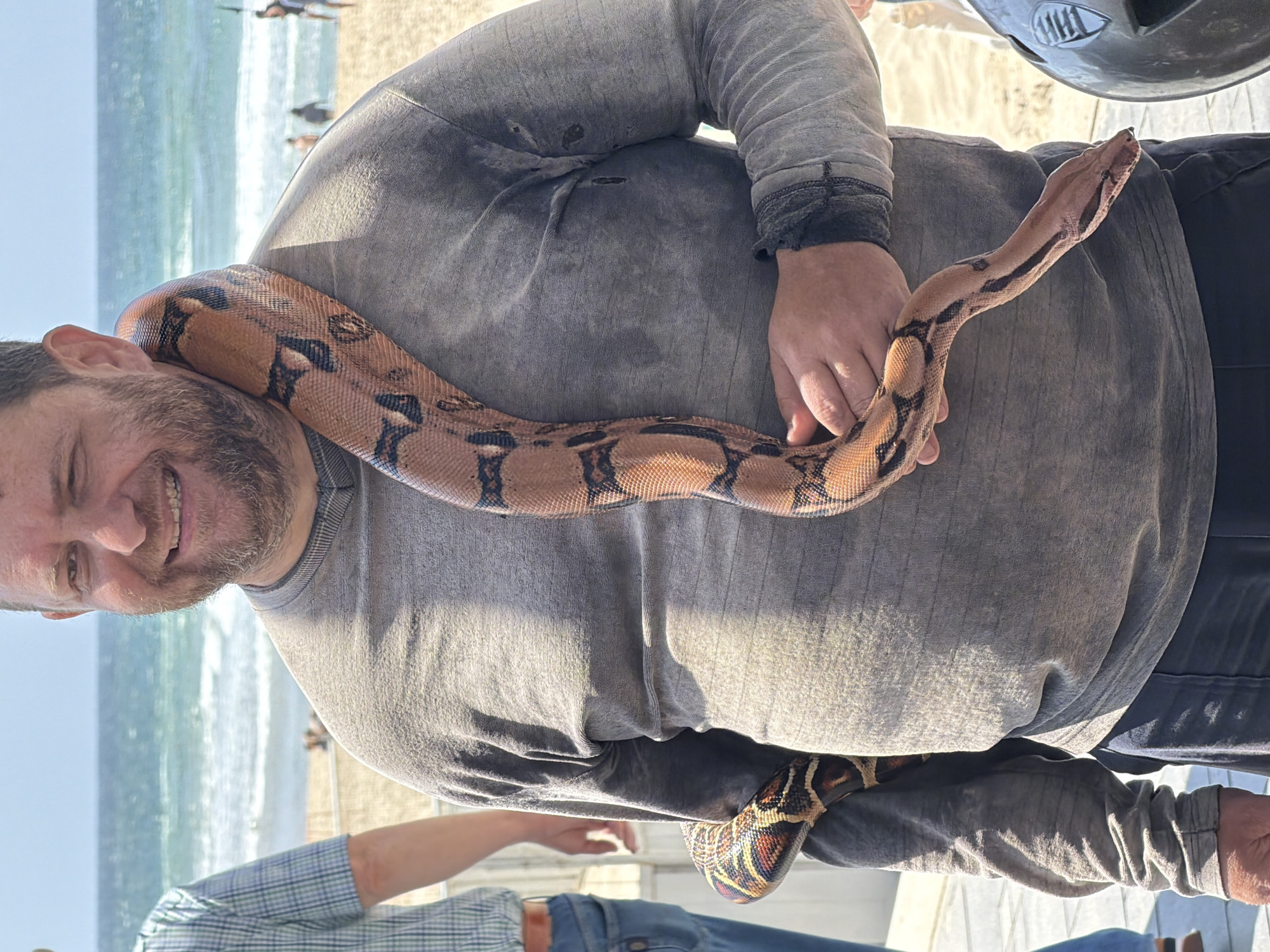 A man stands outdoors on a sunny day, smiling at the camera, with a boa constrictor draped around his neck and held in one hand. The background shows a beach scene with the Mediterranean Sea and other people in the distance. The man is wearing a grey long-sleeved shirt and dark pants. The snake exhibits brown and black patterning. A second person in a blue plaid shirt is partially visible in the lower left corner. The scene is located near the beach in Tel Aviv, Israel.