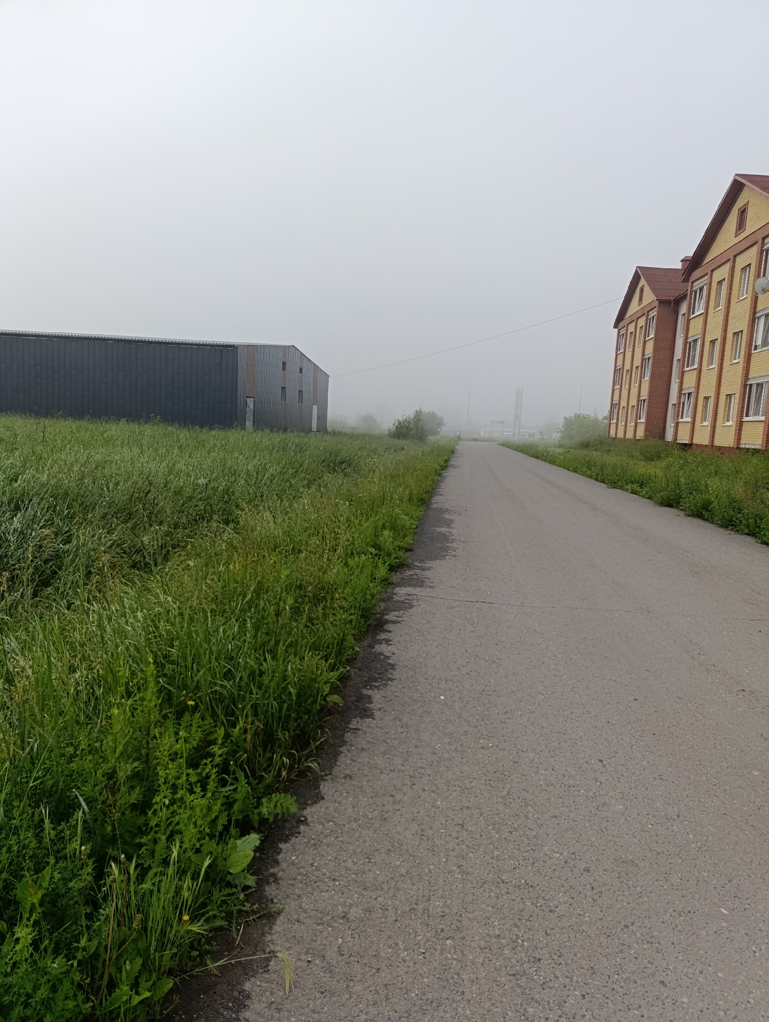 The image captures a rural road on a foggy day in Tugulym, Russia. On the right side of the road, a multi-story brick apartment building with yellow facades and red roofs is visible, featuring numerous windows. To the left of the road, a long, dark, industrial-style building with a metal facade stands adjacent to a field of tall green grass. The road itself is paved and curves slightly into the distance, where the fog obscures further details of the landscape, though faint outlines of structures and possibly utility poles can be discerned. The sky is overcast and appears a uniform, light gray due to the fog. The vegetation consists of overgrown green grass and some smaller bushes. No people are present in the image.