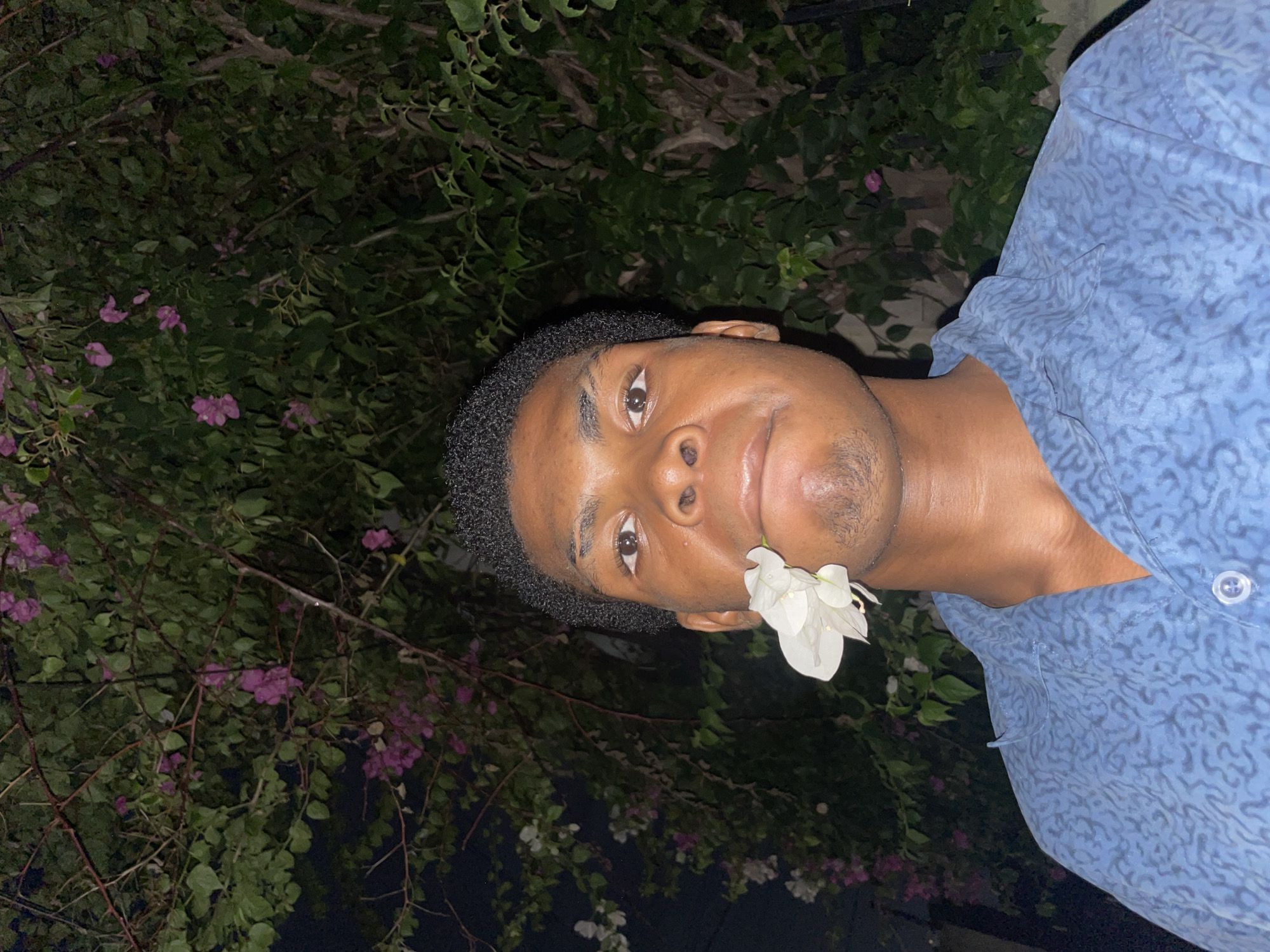 This nighttime portrait, likely taken in Ado, Nigeria, features a young man with dark skin and short, curly black hair. He is depicted in a close-up, looking directly at the camera with a neutral and focused expression. He wears a light blue collared shirt adorned with a subtle, darker patterned design. A delicate white flower is held gently in the right corner of his mouth, adding a touch of whimsy to his pose. The background is densely packed with dark green foliage, indicative of a bush or tree, featuring scattered small purple and white blossoms. The dim, ambient lighting suggests the photograph was taken in the late evening or at night. The lush greenery and floral elements point to an outdoor setting, such as a garden or natural area typical of the region. No text is visible in the image.