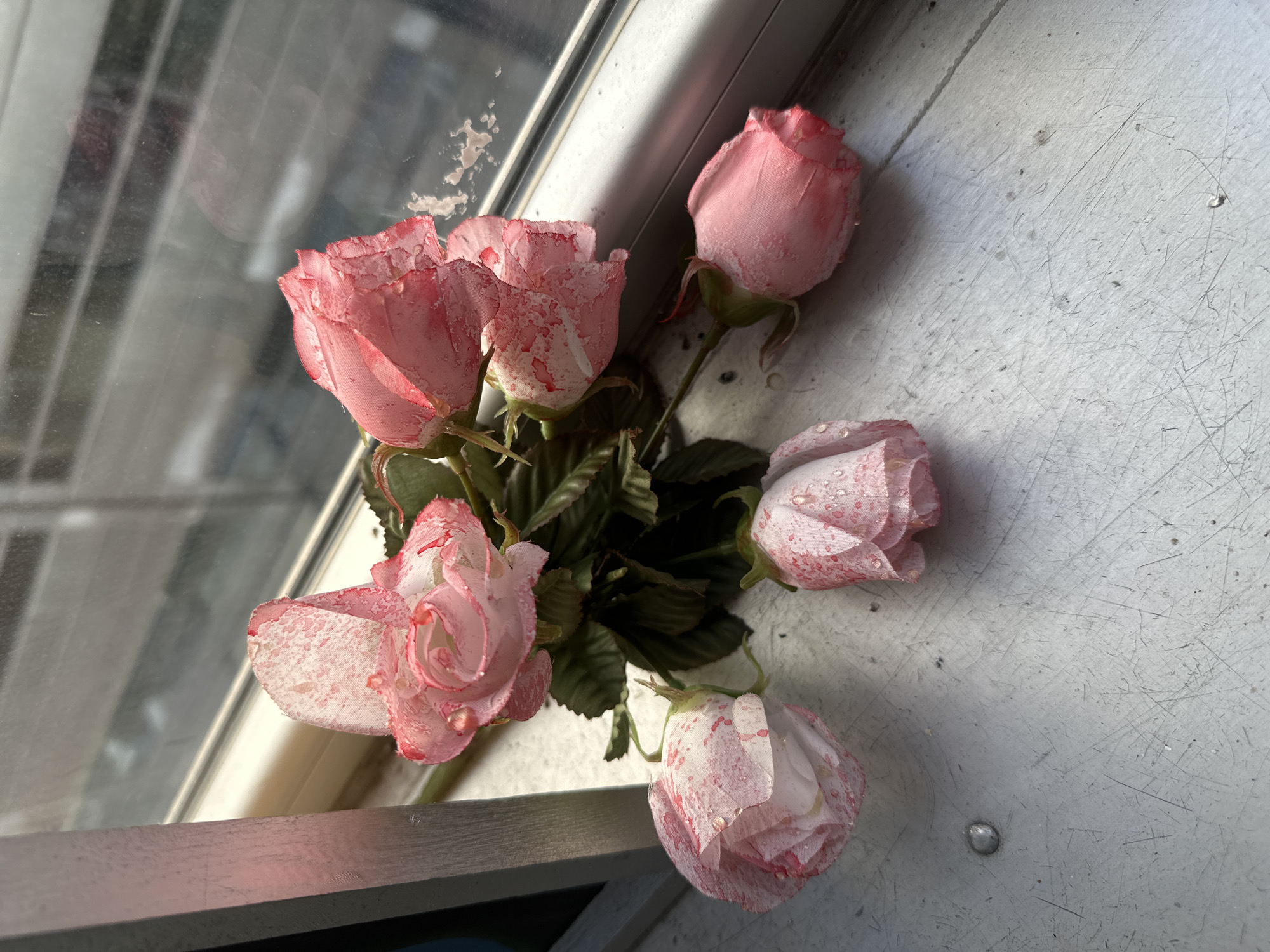 A close-up, high-angle shot displays a bouquet of artificial pink roses with white speckles, seemingly positioned on a window sill. The flowers vary in openness, some fully bloomed while others remain buds. The green leaves and stems of the roses are also visible. The surface upon which the roses rest is light gray and shows signs of wear, with scratches and smudges. A partially visible window is on the left of the frame, reflecting light. The city location of Buenos Aires, Argentina cannot be determined from the visual information provided.