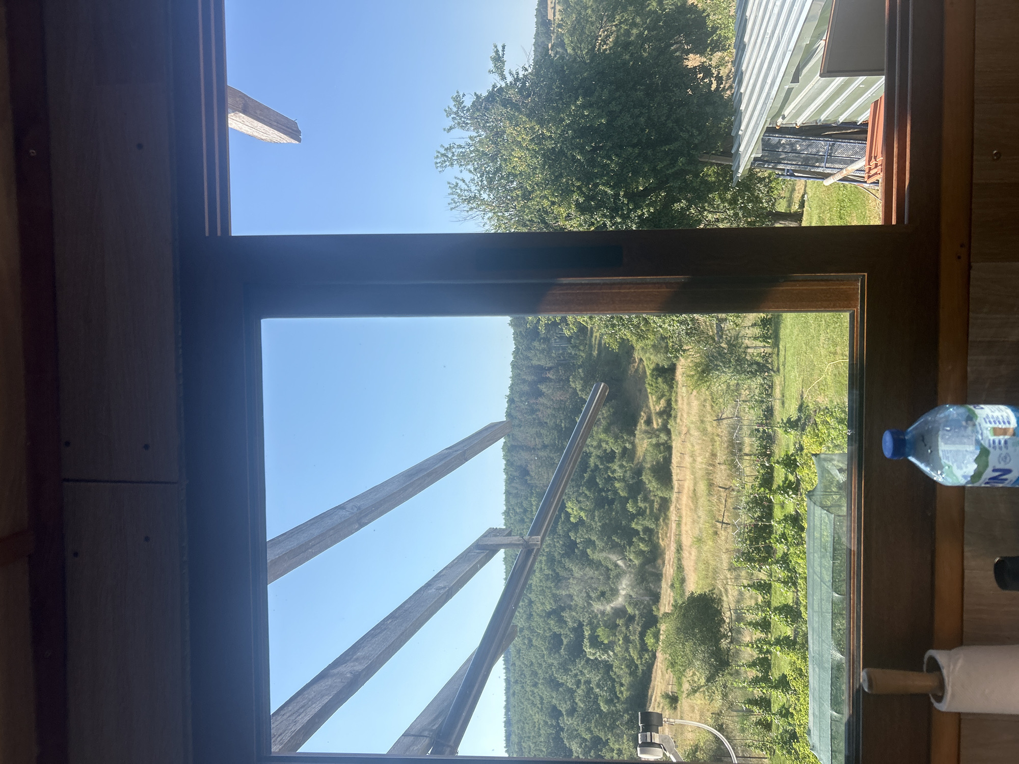 The image shows a view from a window of a building, likely a rural dwelling or shed, in Bogdanovo, Bulgaria. Through the window, a lush green landscape is visible under a clear blue sky. The foreground of the image, inside the building, reveals a wooden window frame. On a wooden surface in front of the window, there is a roll of paper towels with a wooden handle, a dark object, and a partially visible bottle of water with a blue label.
The outdoor scene consists of a garden area with rows of young plants, likely vegetables, protected by a green mesh greenhouse. Beyond the garden, the terrain rises into a hill covered with dense green forest. In the middle ground, there is dry, yellowed grass and a wooden fence. To the right side of the outdoor view, a metal-roofed shed is partially visible. The overall impression is one of a peaceful, rural setting on a sunny day.