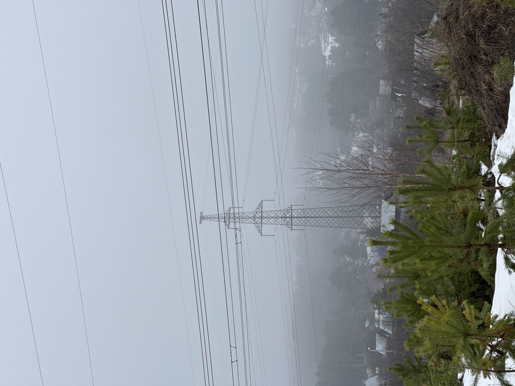 The image presents a view of a foggy landscape in the city of Chaikovsky, Russia. High-voltage power lines and a supporting tower dominate the left side of the frame, stretching across the sky and into the landscape. A dense fog obscures the details of the terrain, but glimpses of trees and buildings suggest a residential or forested area. In the foreground, evergreen trees and patches of snow are visible along a hillside. The overall atmosphere is muted due to the heavy fog. There are no people visible in the image.