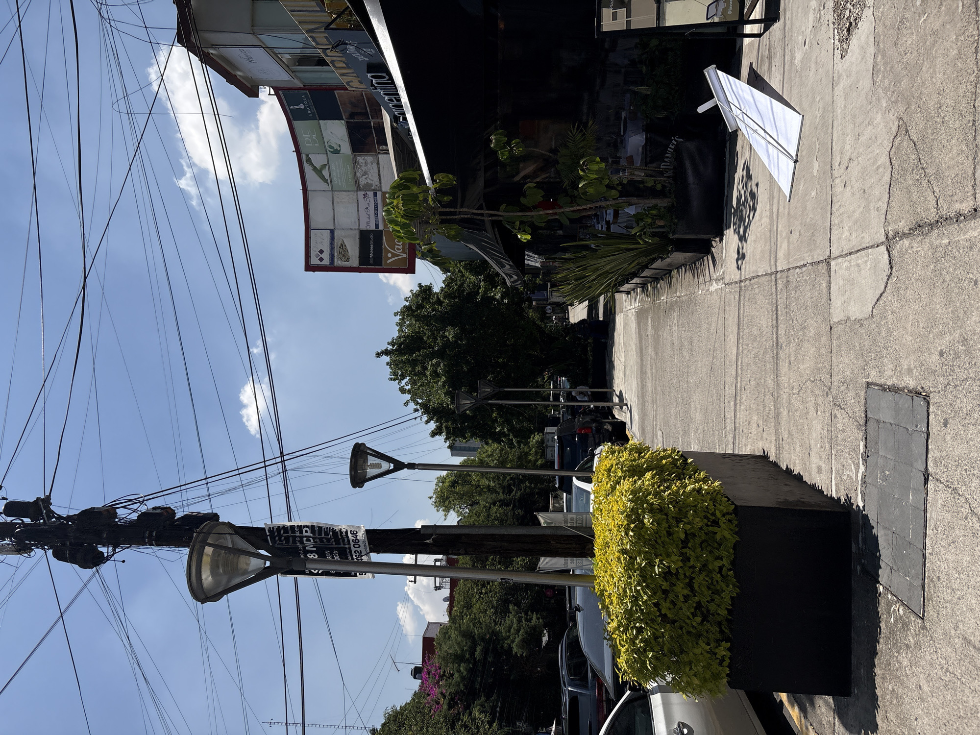 The image shows a street scene in Mexico City, Mexico. A sidewalk runs alongside a building with a sign and a black awning. A sign partially obscured by the awning features the names of several establishments, including "Vac" and "Vacantina". A white sandwich board stands on the sidewalk. A street light is visible in the foreground. A rectangular planter with yellow foliage is adjacent to the sidewalk and next to a white car. A utility pole with multiple wires is visible against a clear blue sky with a few clouds. Streetlights are spaced along the street. Parked cars line the street, and trees are visible in the background. A sign attached to the utility pole contains numbers "462 0646" and mentions "MDP". The date "2026" and the word "argentina" are also seen.