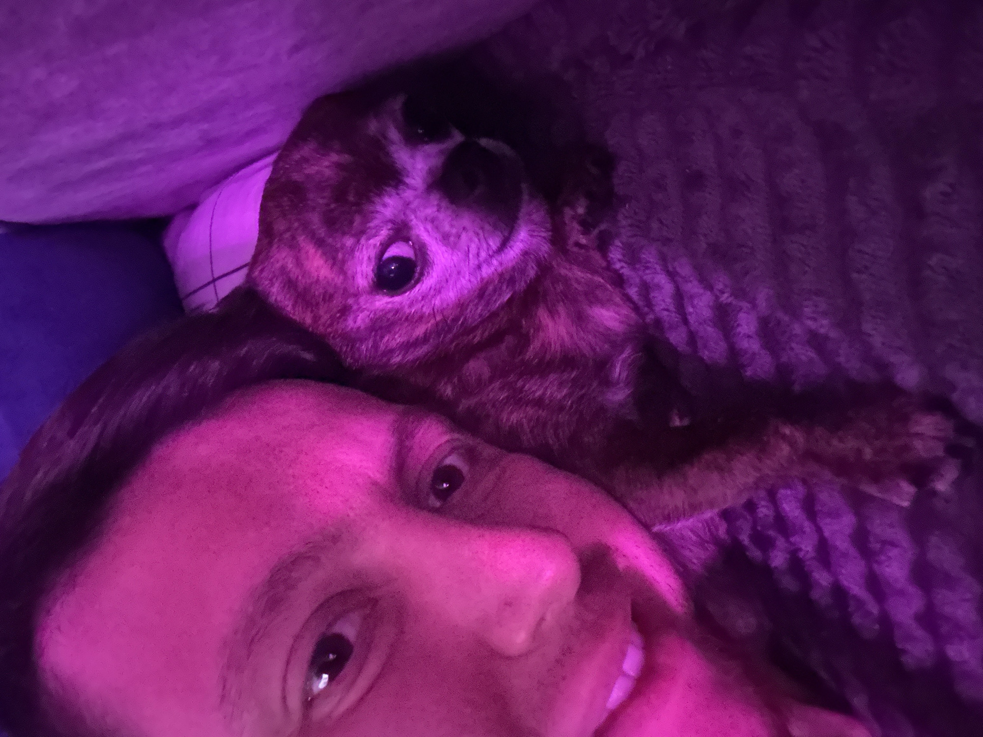 The image shows a close-up selfie of a person and a dog, illuminated by pink and purple lighting. The person's face is partially visible on the left side of the frame, with their eyes, nose, and mouth in focus. They appear to be smiling or smirking, with their teeth slightly exposed. The dog, a small breed with brindle fur, is positioned to the right of the person, nestled against them. The dog's eyes are open and looking towards the camera. They are both lying on a soft, textured surface, possibly a blanket or couch, which is also reflecting the colored light. The background is out of focus and appears to be a solid color, likely a wall or furniture, with a hint of blue or dark purple. The overall impression is an intimate and cozy moment shared between the person and their pet. The location of Мирный, Russia is not discernible from the image.