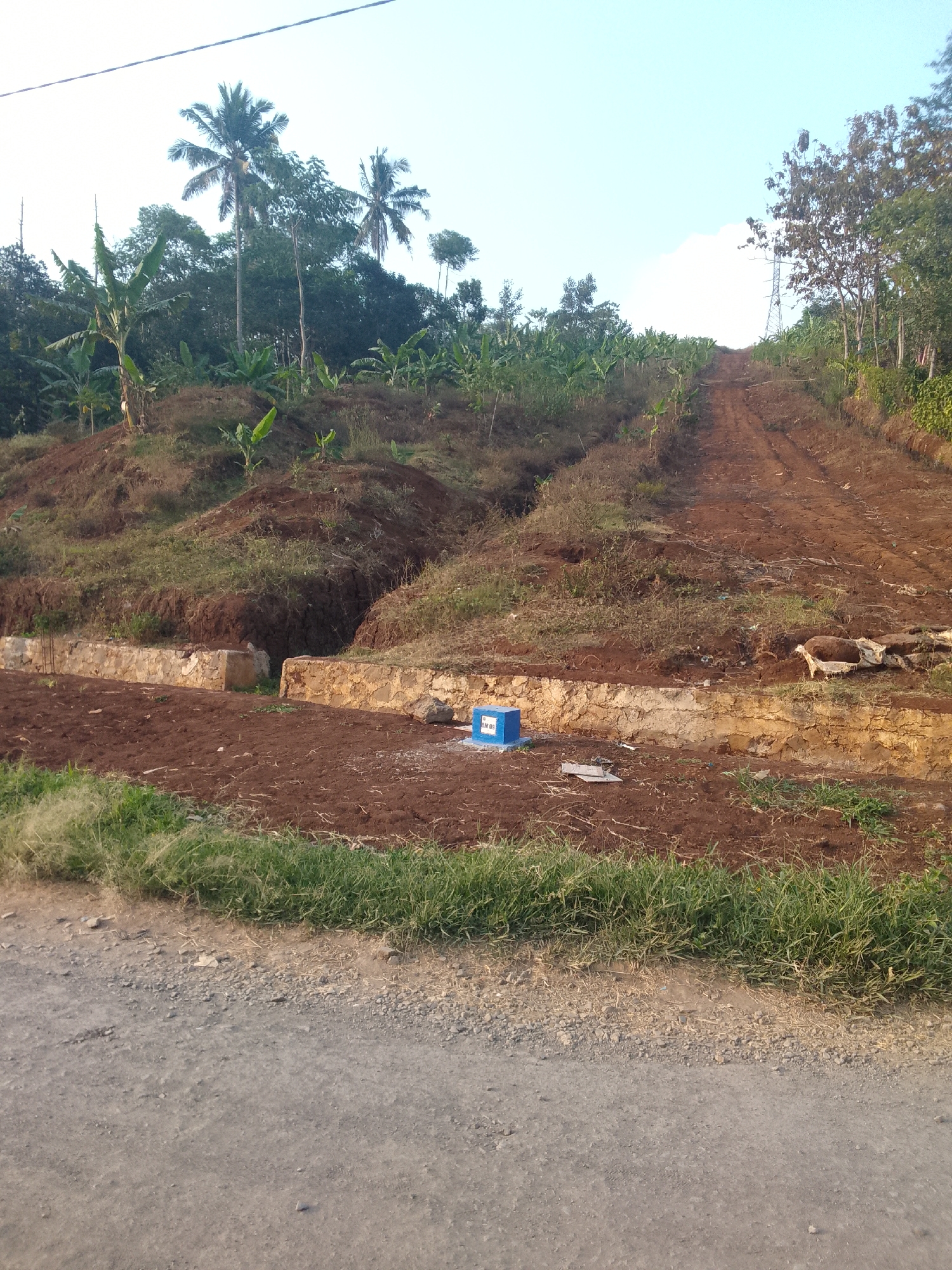 The image depicts a dirt road ascending a hillside in Padalarang, Indonesia. The road appears to be under construction or recently cleared, with exposed red earth. Banana trees and palm trees are visible on the left side of the road, interspersed with other foliage. On the right, the hillside is covered with trees and a transmission tower can be seen in the distance. In the foreground, a low stone wall runs horizontally across the scene, with a small blue marker on the ground near it. The sky is clear with a few clouds. The overall impression is one of rural development and natural landscape.