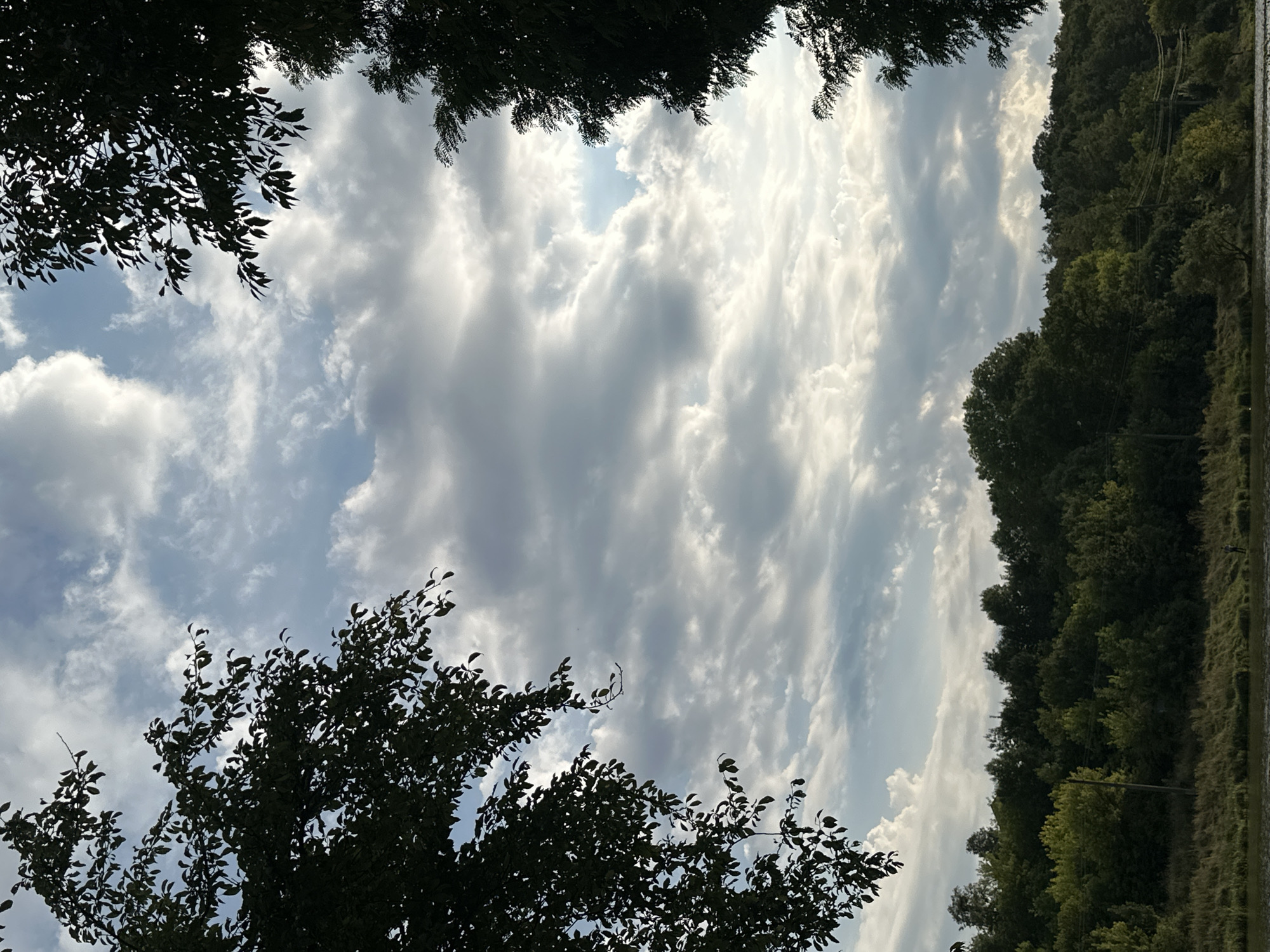 The image depicts a natural landscape, possibly near the village of Makiv, Ukraine. Silhouetted trees frame the upper edges of the composition, with their dark foliage contrasting against a sky filled with dramatic clouds. The clouds are a mix of white and gray, suggesting a dynamic weather pattern. Below the sky, a dense line of green trees forms a wooded hillside. The lower portion of the image shows a body of water, likely a river or lake, with a grassy bank separating it from the trees. The overall impression is one of natural beauty and tranquility, with the interplay of light and shadow creating a sense of depth and atmosphere. There are no visible people or specific man-made structures in the immediate foreground or prominent parts of the image.