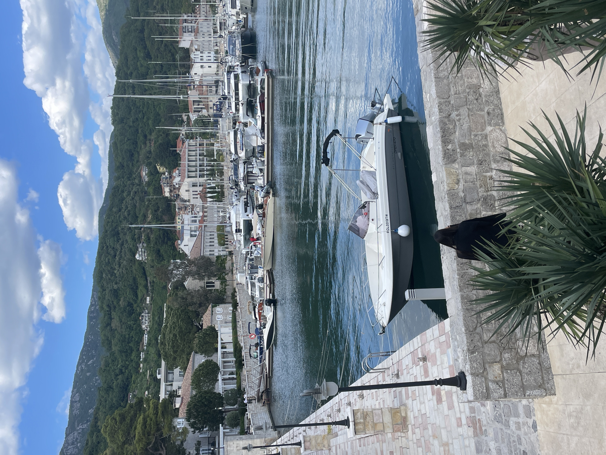 The image shows a marina in Herceg Novi, Montenegro, filled with boats and yachts. The scene includes several boats docked along a pier. Mountains covered in lush vegetation rise up in the background, and the sky has patches of blue with white clouds. Palm tree foliage frames the foreground on the right side. A stone wall and paved area are visible in the lower right corner, featuring street lamps.