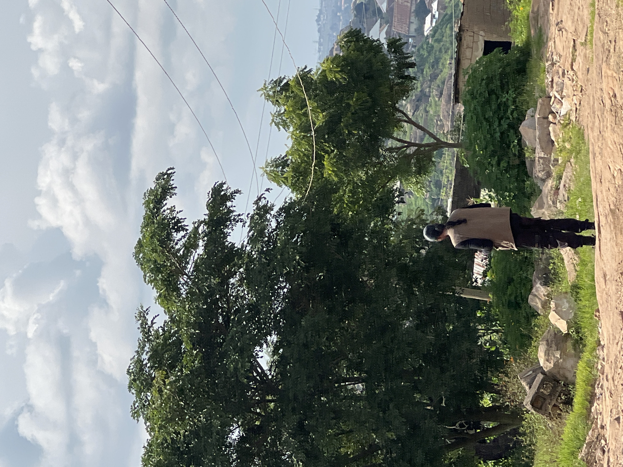 An outdoor, medium-shot photograph taken from behind a person standing on a dirt path looks toward a distant, hilly cityscape. The person, facing away from the camera, is wearing dark pants and a tan vest over a black shirt with their hair pulled back in a ponytail. To the left and center are large, leafy trees and in the background are more trees, some scattered structures, and a distant city. The sky is cloudy, with a light blue hue. The ground is composed of dirt and rocks, with some grass growing in patches. Several power lines are visible crisscrossing the sky.