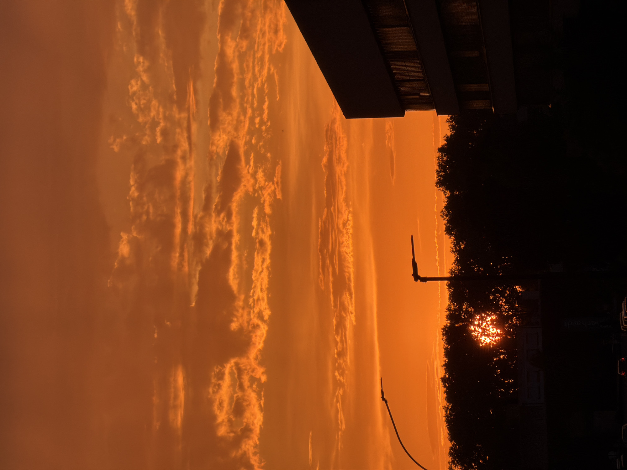 The image captures a vibrant sunset over Strasbourg, France, casting a warm, orange glow across the sky. Wispy clouds are illuminated by the setting sun, creating a dramatic backdrop. In the foreground, the silhouette of a modern building with large, multi-paned windows stands to the right. To the left, a street lamp with a curved arm is visible, and another street lamp is positioned near the center. A dense line of trees, also in silhouette, forms a dark band across the middle ground. The sun itself is partially visible through the trees, creating a bright, starburst effect. Below the trees, the dark shapes of vehicles and what appears to be a road are discernible, suggesting an urban environment. The overall scene evokes a sense of twilight in a city.