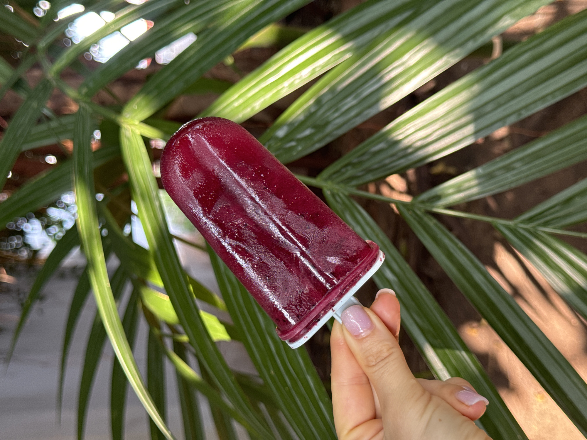 A close-up, eye-level shot captures a person holding a vibrant dark red or purple popsicle against a lush green, tropical background. The popsicle, which appears to be fruit-based, is still partially frozen, showing some texture on its surface, and is attached to a white, plastic handle. A fair-skinned hand, with neatly manicured nails painted in a light pink hue, delicately grips the popsicle's handle.
The background is dominated by large, fanning green palm leaves, characteristic of a tropical environment like Mũi Né, Vietnam. Bright sunlight filters through the foliage, creating sharp contrasts of light and shadow, with some leaves brightly illuminated and others in soft shade. The lighting also creates shimmering bokeh effects in the upper left of the frame. The overall impression is one of a refreshing treat enjoyed outdoors on a sunny, warm day. No text is visible in the image.