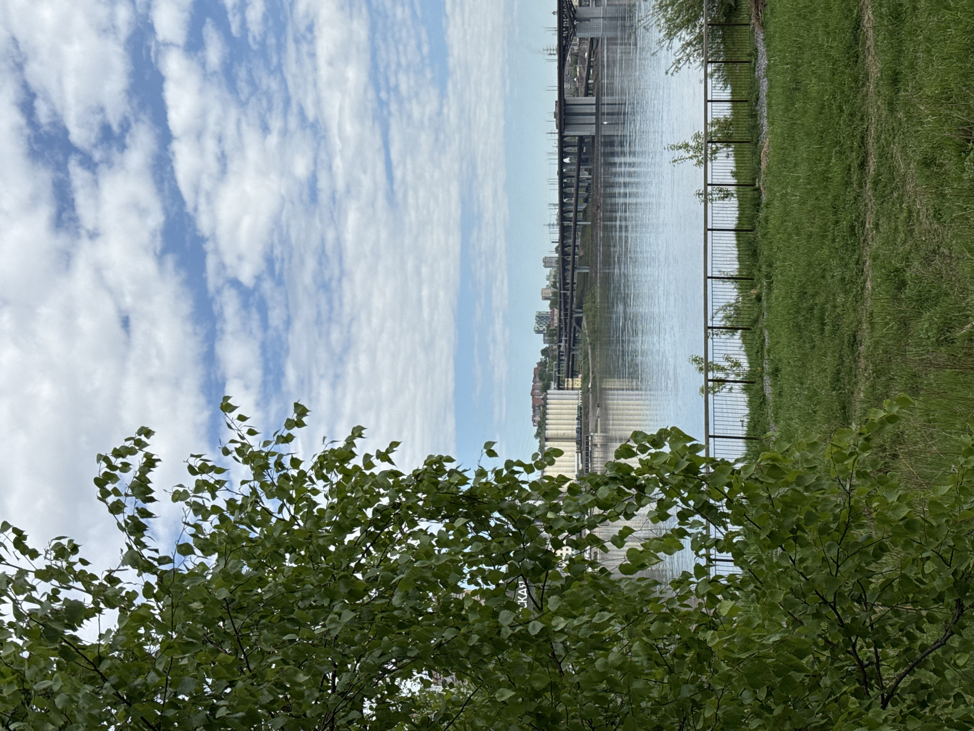 The image shows a view in Krasnoyarsk, Russia, looking across the Yenisey River. A blue and white sky filled with altocumulus clouds is visible. The river reflects the sky and some infrastructure on the opposite bank. A railway bridge spans the river. On the near bank, green grass meets the water's edge, and a metal fence runs along the edge of the grass. In the foreground, a tree with green leaves occupies the lower portion of the image.
