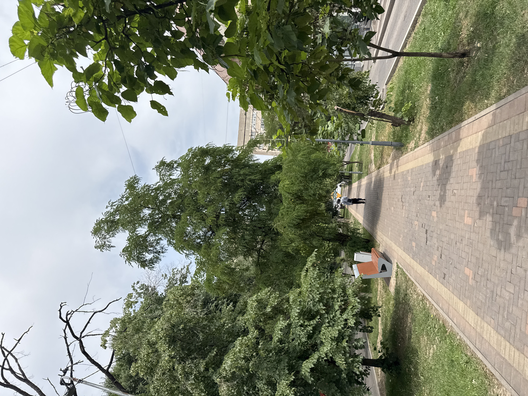 The image depicts a paved pedestrian walkway in Almaty, Kazakhstan, lined with trees and grass on the left, and a street with light traffic on the right. A lone individual, walking away from the camera, is visible on the walkway. To the left of the walkway, a modern bench with orange seating is present. The sky is overcast. The general impression is of a peaceful, urban street scene.