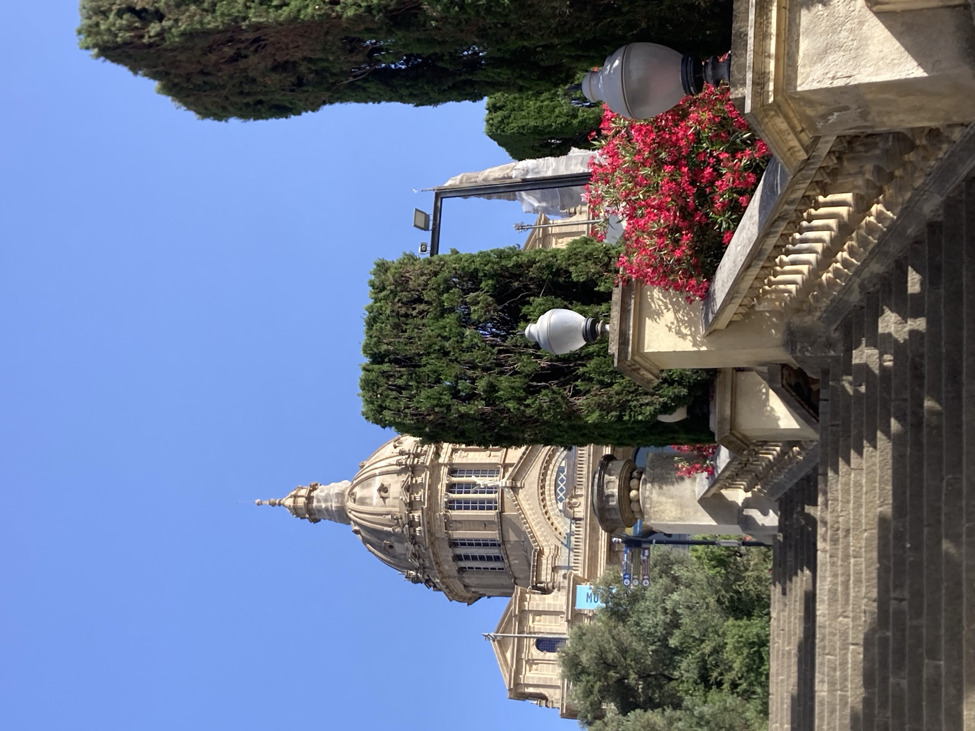 The image shows a view of the Palau Nacional in Barcelona, Spain. The Palau Nacional is a large palace that houses the Museu Nacional d'Art de Catalunya (MNAC). In the foreground, there is a wide stone staircase leading up to the palace. The staircase is lined with ornate stone balustrades and planters filled with vibrant red flowers. Tall cypress trees flank the sides of the staircase, framing the view of the palace. The palace itself features a prominent dome with classical architectural elements. The sky is clear and blue, indicating a sunny day. The image appears to be taken from a low angle, looking upwards towards the palace.
