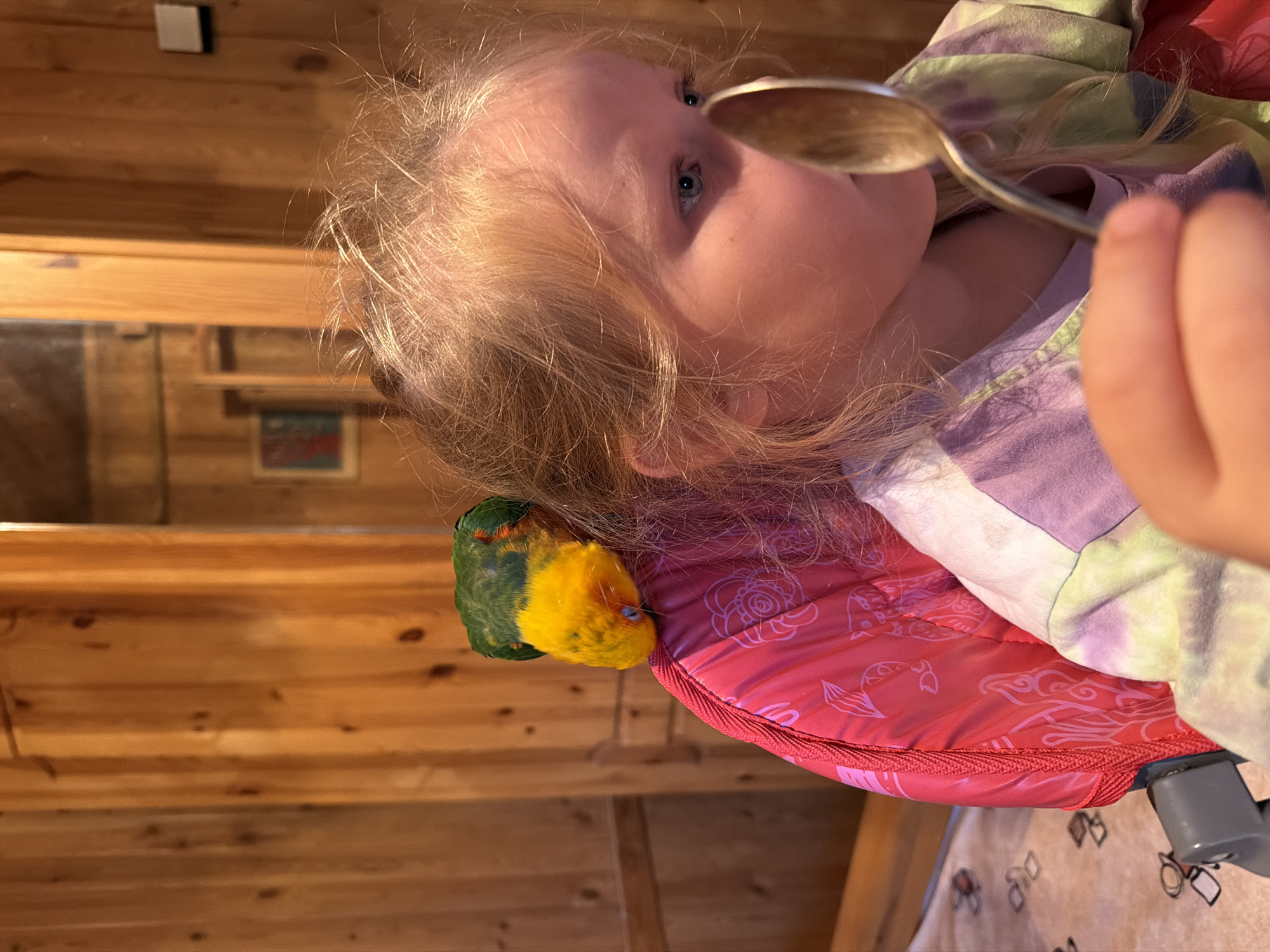 A young girl with blonde hair is looking to her right, holding a silver spoon in front of her face. She is wearing a tie-dye shirt. A green and yellow parrot is perched on her left shoulder. The background consists of wooden walls. The scene appears to be indoors. The image was taken in the city of Udelnaya, Russia.