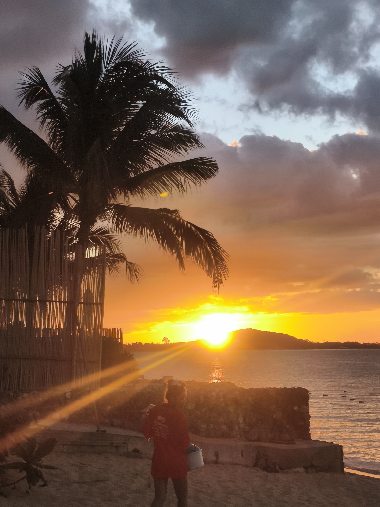 A silhouette of a person stands on a sandy beach in front of a beautiful sunset. The sun is setting over the ocean, casting a warm orange glow across the sky and water. Clouds are scattered throughout the sky, with some appearing dark and moody, while others are illuminated by the setting sun.
A palm tree stands tall to the left of the frame, its fronds silhouetted against the vibrant sky. To the left of the palm tree, a bamboo fence can be seen. The person in the foreground is wearing a red shirt and appears to be holding a white bucket. The overall scene evokes a sense of tranquility and natural beauty, suggesting a peaceful evening by the sea in Baan Bo Phut, Thailand. The time of day is clearly sunset, characterized by the golden hues and the low angle of the sun. The weather appears to be partly cloudy, adding visual interest to the sky. The presence of the ocean, beach, and palm trees strongly indicates a tropical coastal location.