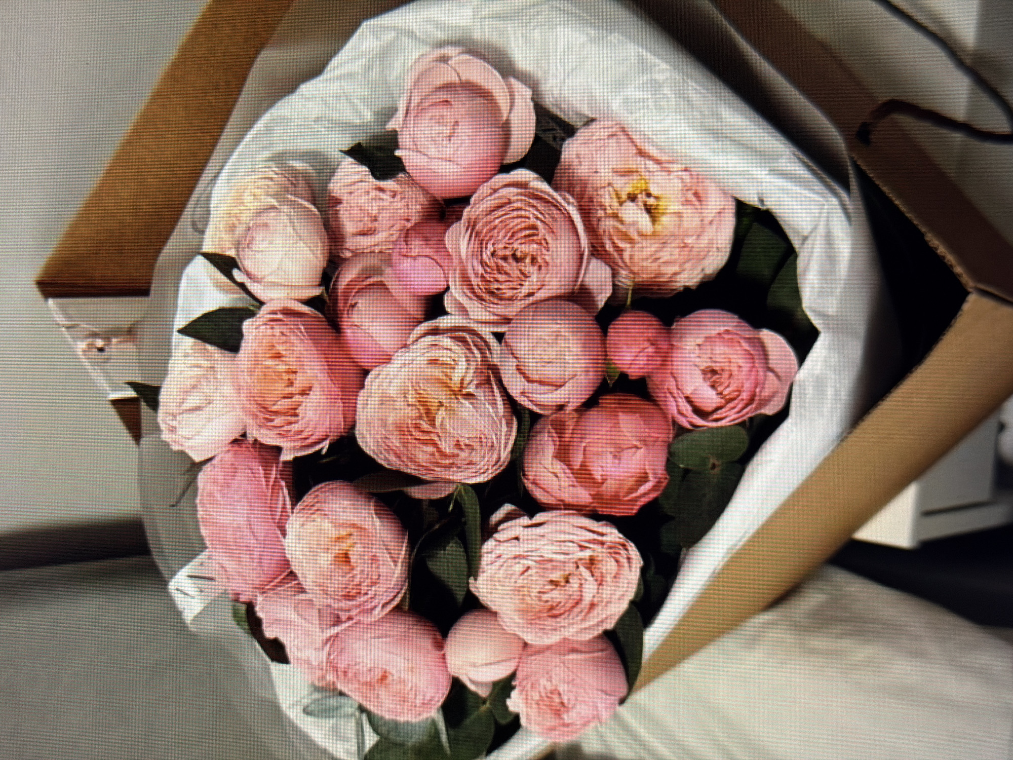The media file shows a close-up, overhead view of a bouquet of pink roses arranged in a brown cardboard box. The roses are of various stages of bloom, with some tightly budded and others fully opened, revealing their intricate petal formations. They are wrapped in white paper, which is partially visible and creases around the flowers. Dark green leaves are interspersed throughout the bouquet. A portion of the brown cardboard box is visible on the right side of the frame, suggesting the bouquet is either being presented or packaged. The lighting is soft and diffused, possibly indicating indoor lighting or an overcast day. There are no people visible in the image. The scene is static, focusing entirely on the floral arrangement. The overall impression is one of natural beauty and careful presentation. The location context of Sirius, Russia, does not provide any visual cues within the image itself. There is no visible text.