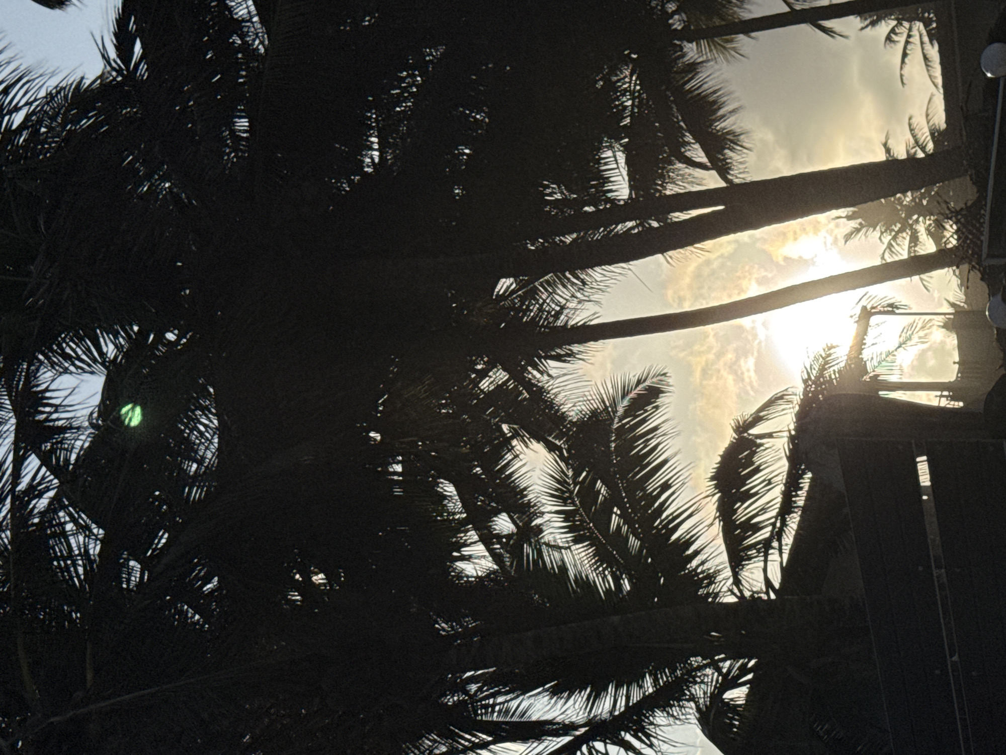 This image shows a silhouette of palm trees against a cloudy sky, with the sun partially visible, casting a glow. A dark, indistinct structure, possibly a building or fence, is visible in the foreground. The scene appears to be a tropical or subtropical location. There are no people or discernable actions. The lighting suggests it could be during sunrise or sunset.