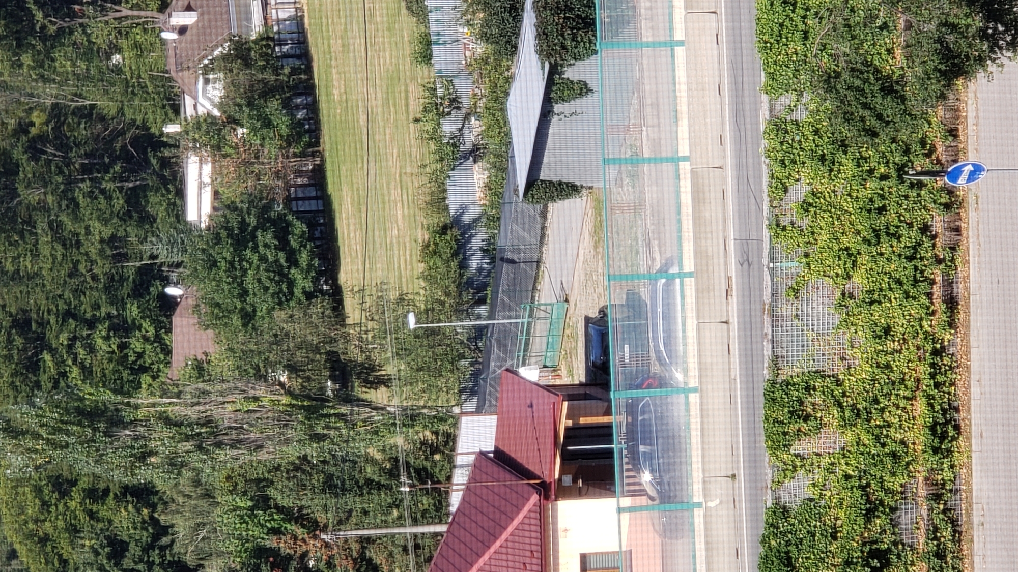 The image captures a street view in the city of Prešov, Slovakia, likely during daylight hours, as indicated by the shadows and bright lighting. The scene is dominated by residential buildings and lush greenery. In the foreground, a road is bordered by a low wall covered in dense green ivy, with a blue traffic sign indicating a "no entry" or similar restriction. Behind the wall, a section of a highway or major road is visible with a concrete barrier and a green-railed fence. Further back, a residential property features a light-colored house with a red-tiled roof and an adjacent small outbuilding or garage. Two dark-colored cars are parked in the driveway. Beyond this, a metal fence separates the property from a neatly mown grassy field. In the background, more residential buildings with red-tiled roofs are nestled amongst a dense forest of deciduous trees. A tall, slender tree stands prominently in the middle ground, adding to the natural aesthetic of the surroundings. The overall impression is of a tranquil, suburban or semi-rural environment within the city.