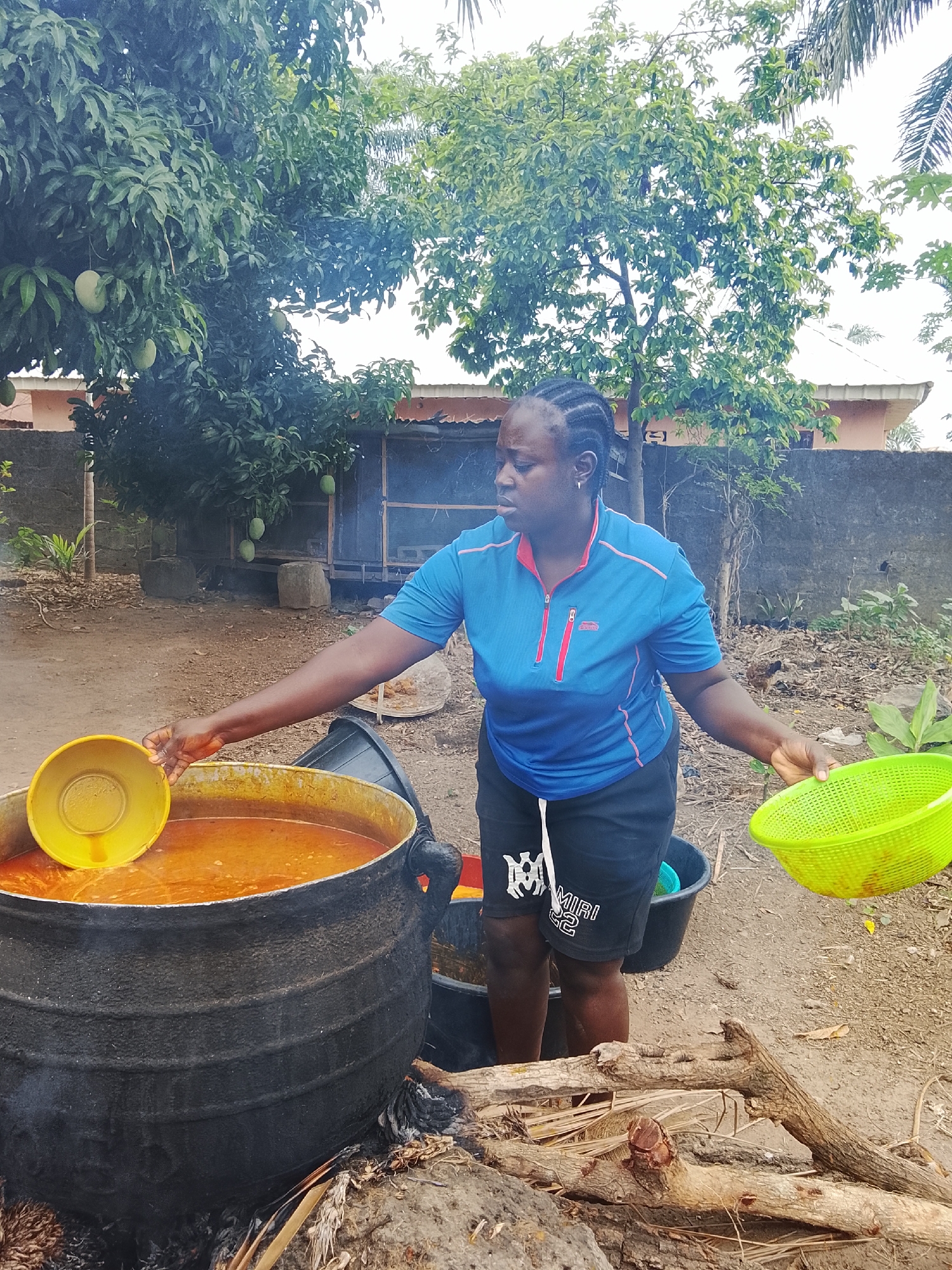 An outdoor scene in Akwanga, Nigeria, shows a woman preparing a large meal in a rustic setting. The central subject is a dark-skinned woman with braided hair, wearing a blue short-sleeved athletic top with red trim and zippers, and black shorts with white drawstrings. On her shorts, the text "AMIRI 82" or similar is visible. She appears focused on her task.
She stands beside a very large, black, cast-iron pot, which is filled with a rich, orange-red stew or soup. A yellow plastic bowl or ladle is partially submerged in the stew. In her left hand, she holds a bright green plastic colander. The pot is situated over an open fire, with visible ashes and several pieces of firewood beneath it, indicating active cooking.
The ground is bare earth. In the background, to the left, is a lush mango tree laden with several green, unripe mangoes. Other green foliage and trees are visible further back. Parts of simple buildings with corrugated iron roofs can be seen in the distance, suggesting a semi-urban or rural environment. Black plastic buckets are also present on the ground behind the main cooking pot. The scene takes place during daytime, under natural light, indicating fair weather suitable for outdoor activities.