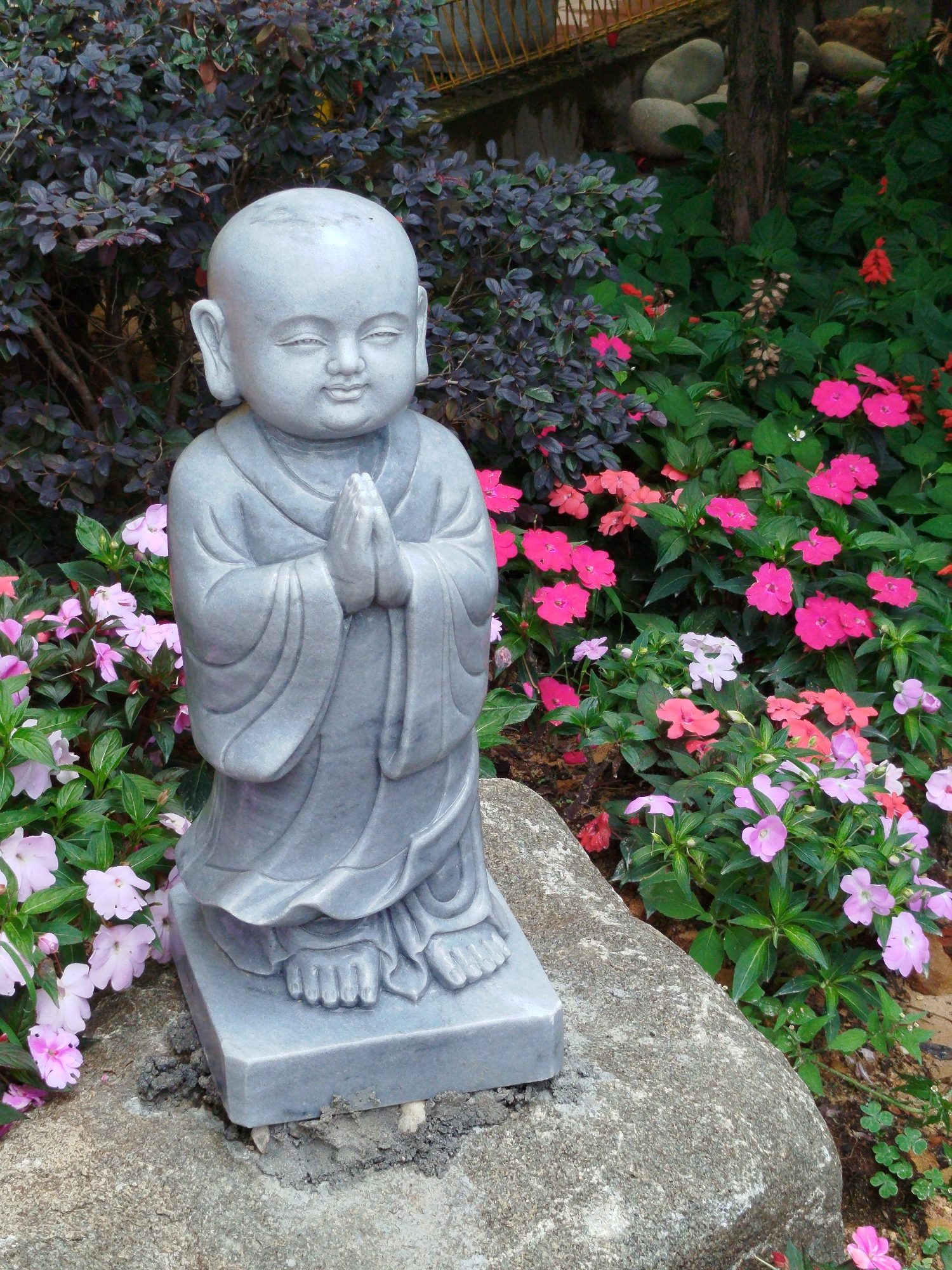 A vertical shot captures a tranquil garden scene centered around a light grey stone statue of a young Buddhist monk. The statue, depicting a bald-headed figure with a serene and gently smiling expression, stands with hands clasped in a prayer or greeting gesture (Anjali Mudra). Its simple robe is rendered with soft folds. The monk statue is positioned on a large, rough-textured grey stone, with visible mortar-like material securing its base.
The background is a vibrant and lush garden. To the left of the statue, dense foliage of shrubs with dark, purplish-green leaves fills the space. The foreground and right side of the image are teeming with numerous flowering plants, primarily impatiens, showcasing a rich palette of fuchsia, bright pink, pale purple, and some orange-red blooms. Further back on the right, a tree trunk and several smooth, light-colored rocks are visible, with a hint of a yellow structure or railing peeking through the foliage in the upper right corner.
The lighting suggests it is daytime, likely morning or late afternoon, with a soft, even illumination that highlights the vibrant colors of the flowers and the smooth texture of the statue. The weather appears clear and calm. The overall impression is one of peace and natural beauty, characteristic of a contemplative garden. No text is visible in the image. The setting is consistent with gardens found in places like Da Lat, Vietnam.