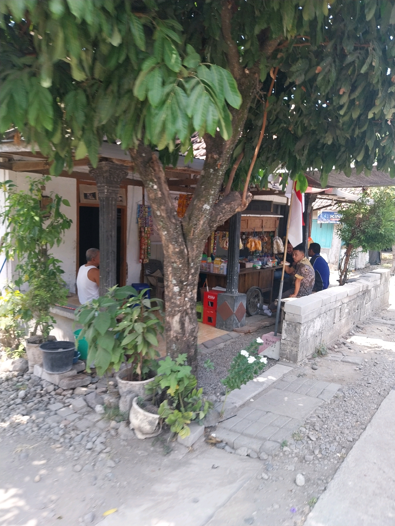 The image depicts an outdoor scene in Campur, Indonesia, featuring a small roadside stall or shop. A large tree with dense foliage partially shades the area. In front of a white building, a man wearing a white tank top is seated. To the right, a stall is set up with shelves displaying various items, including packaged goods and what appear to be snacks. Three individuals are present near the stall: one person is seated at the stall, another is standing behind the stall, and a third person is seated on a low stone wall. A red Coca-Cola crate is visible near the stall. The ground is a mixture of gravel and paving stones. A low stone wall runs along the right side of the scene, and a paved walkway is present. The overall environment suggests a warm, possibly humid climate.