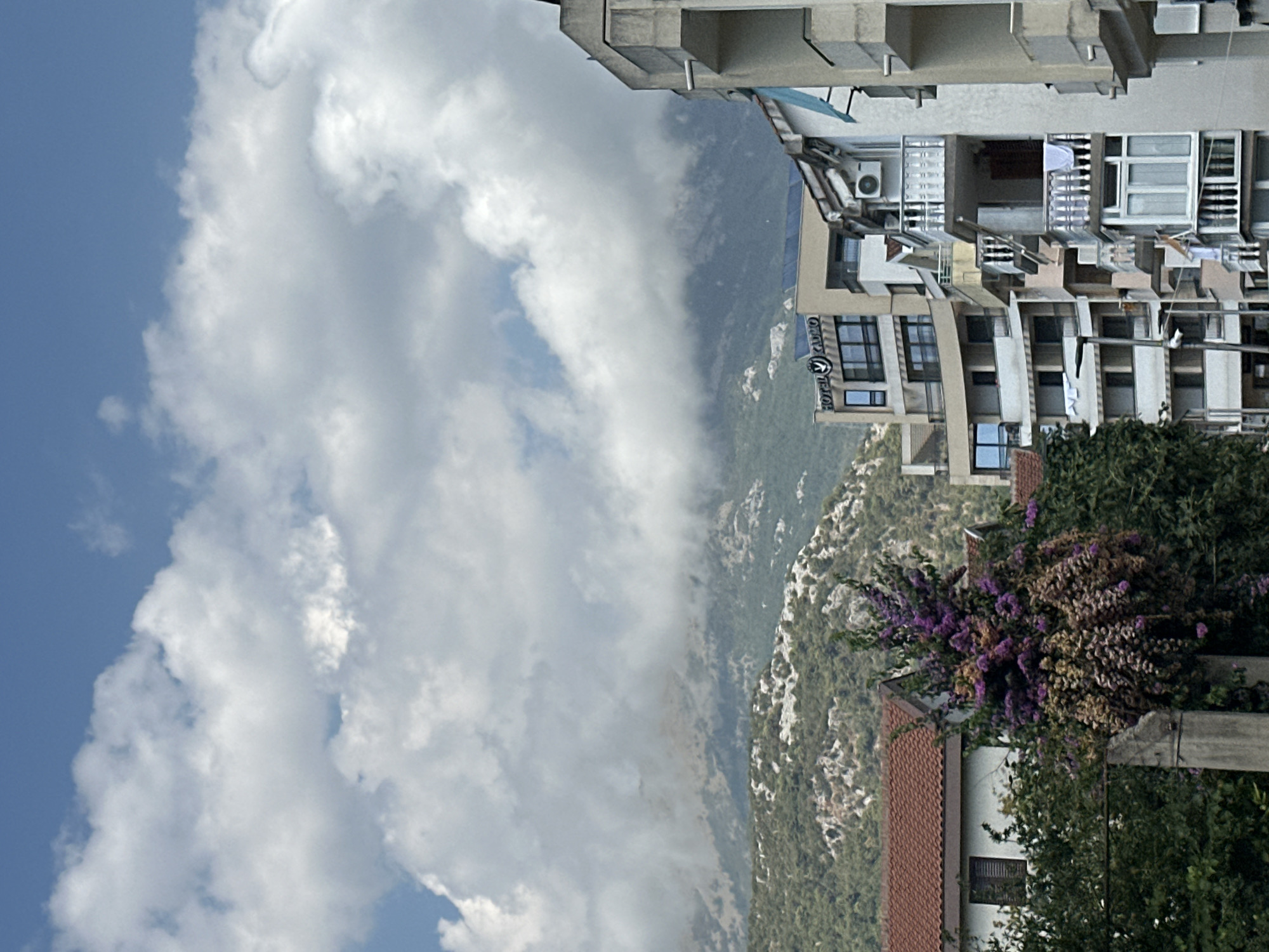 The image shows a view of buildings and a mountain in Budva, Montenegro. In the foreground, there are several multi-story buildings with balconies. One building has a sign that reads "HOTEL KALMO". A large flowering tree with purple and pink blossoms is visible in front of a house with a red tiled roof. In the background, a mountain range is shrouded in clouds. The sky is blue with scattered white clouds. The scene appears to be a daytime view of an urban area with a natural landscape.
