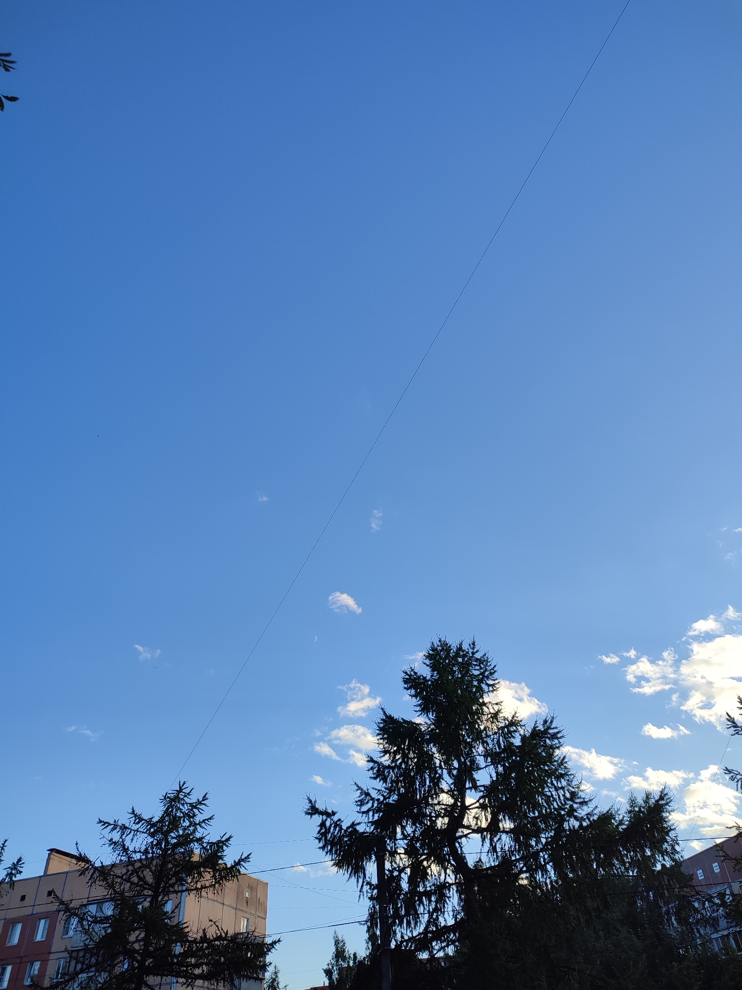 The image captures a section of the sky in Vsevolozhsk, Russia, on a clear day with scattered white clouds. A thin, dark line, likely a utility wire, diagonally bisects the sky from the upper left to the lower right. Silhouetted against the bright sky are the tops of several evergreen trees, their branches stark and dark. In the lower left and center of the frame, a portion of a multi-story building is visible, appearing to be an apartment block with multiple windows. The building's facade is a pale beige or cream color, with some reddish-brown accents. The scene suggests an outdoor urban or suburban environment.