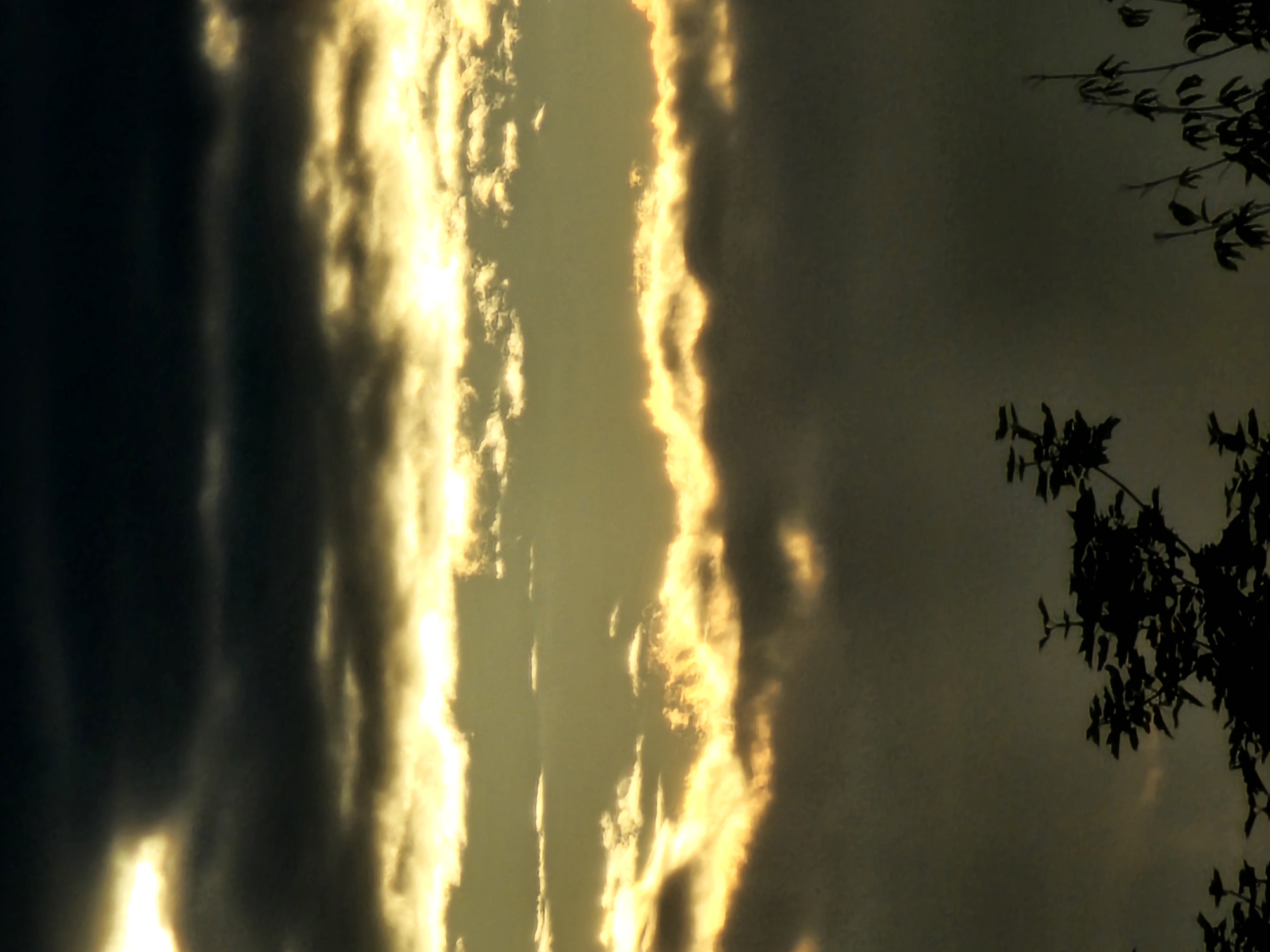 The image captures a dramatic sky filled with dark, ominous clouds and streaks of bright, golden sunlight breaking through. The sun's rays create a layered effect, illuminating the edges of the clouds and casting a warm glow on the scene. In the foreground, the silhouetted branches of trees are visible against the dark sky, suggesting the image was taken at dusk or dawn. The overall atmosphere is one of moody beauty, with the interplay of light and shadow creating a sense of depth and intensity. The location is stated to be in the city of Khimki, Russia, though no specific landmarks are discernible in the image itself. There are no people or identifiable objects present, only the natural elements of the sky and vegetation.