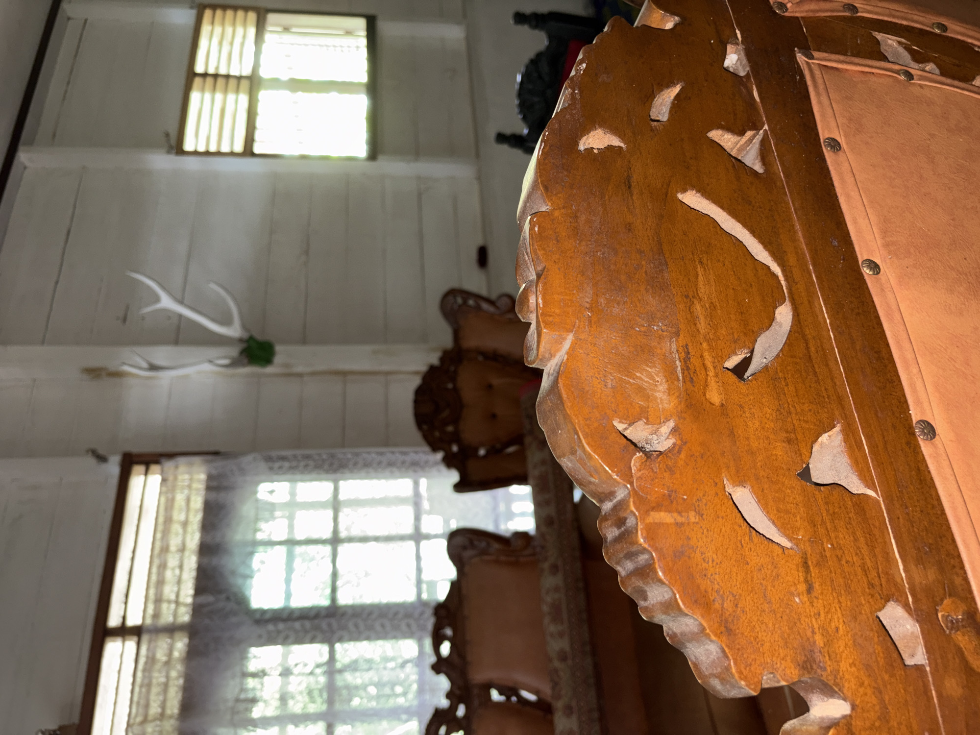 The image depicts the interior of a room, likely a living room, with ornate wooden furniture and a rustic aesthetic. The foreground is dominated by a close-up view of a richly colored, carved wooden furniture piece, possibly the back of a sofa or chair, with visible wood grain and cut-out decorative patterns. The color is a deep, warm orange-brown. Beneath this carved wood, there is an orange upholstered section secured with small, round decorative tacks.
In the background, several elements suggest a traditional Indonesian setting, possibly in Beunyot. Two windows are visible. The one on the left has a white lace curtain and a venetian blind, with sunlight filtering through, illuminating the room. The window on the right also has a venetian blind, allowing light to enter. The walls are constructed of horizontal wooden planks, painted a light color. Mounted on the wall between the windows are a pair of white deer antlers, a common decorative item in some cultures, perhaps indicating a specific style or preference of the inhabitants. Two upholstered chairs with dark, intricately carved wooden frames are visible in the middle ground, further emphasizing the ornate furniture style. The floor is not clearly visible, but a dark object, possibly a chair or table leg, can be seen on the right side. The overall impression is one of a well-decorated, lived-in space with traditional elements.