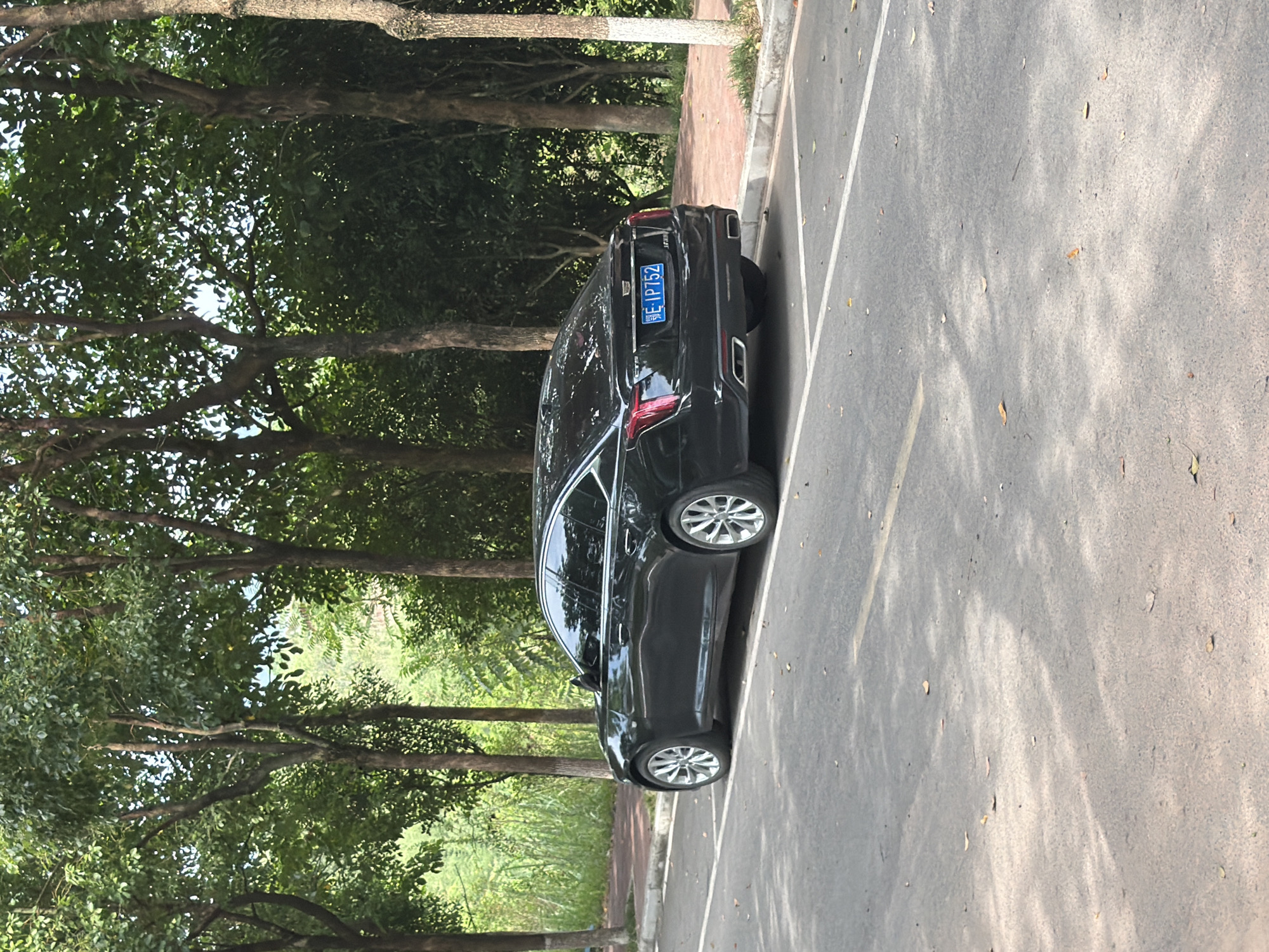 A black Cadillac sedan is parked on the side of a road lined with trees. The car's license plate reads "E IP752". The road appears to be in a park or a suburban area, with a brick walkway and lush greenery visible behind the car. The sky is overcast, casting soft shadows on the road. No people are visible in the image.