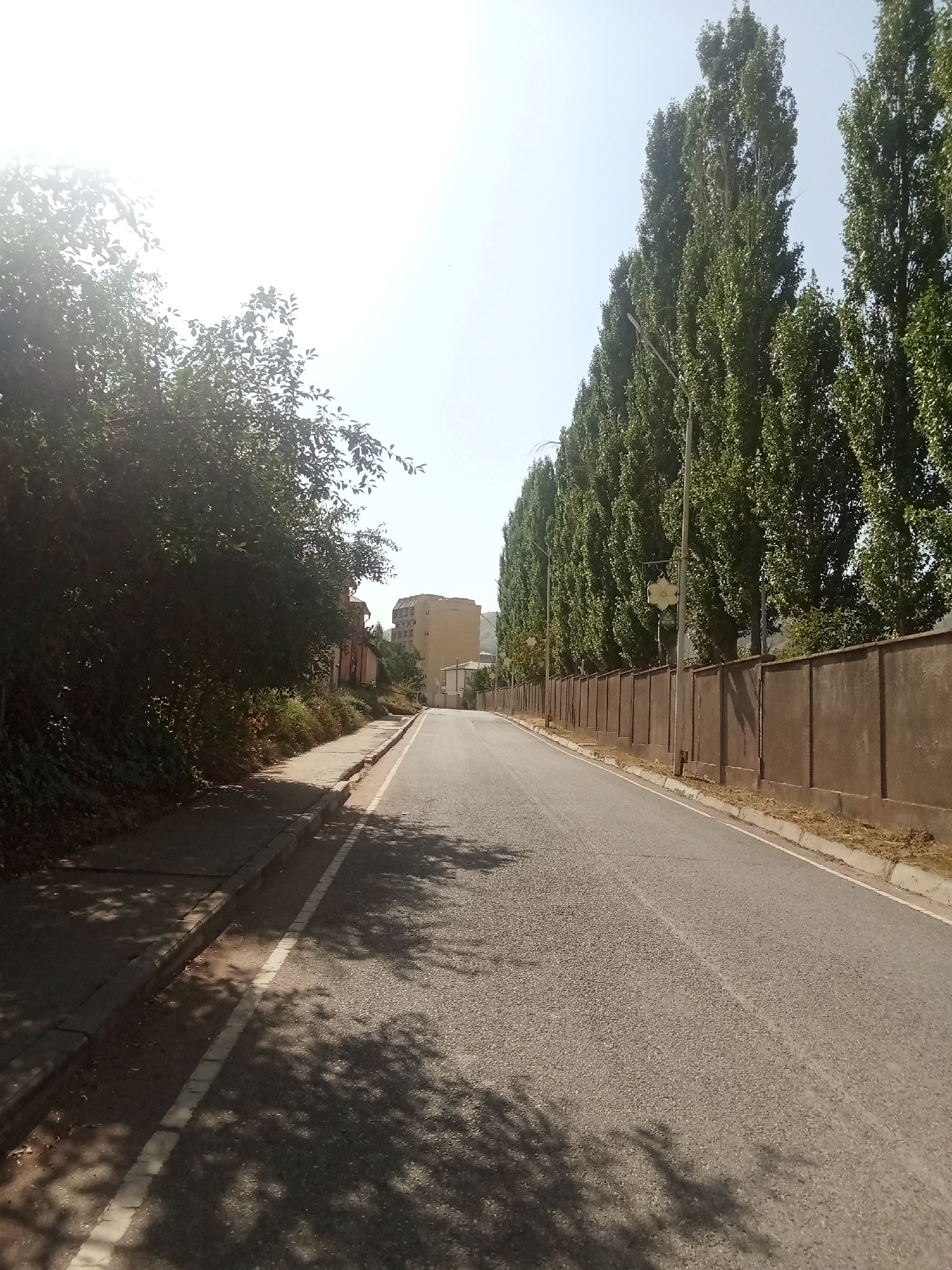The image depicts a street scene in the city of Roghun, Tajikistan, on a bright, sunny day. The perspective is from the side of the road, looking forward. On the left side of the image, a tree-lined embankment with dense foliage casts shadows onto a paved sidewalk. The sidewalk appears to be bordered by a curb. The road itself is asphalt, with a white line marking its edge. To the right of the road, a tall, solid, brown fence runs along the property line. Beyond the fence, a row of tall, slender trees with dense green foliage stands in a line, creating a visual barrier. A street lamp is visible between two of these trees. In the distance, a multi-story building with a light-colored facade is situated on a hill. The sky is clear and bright, suggesting a cloudless day.