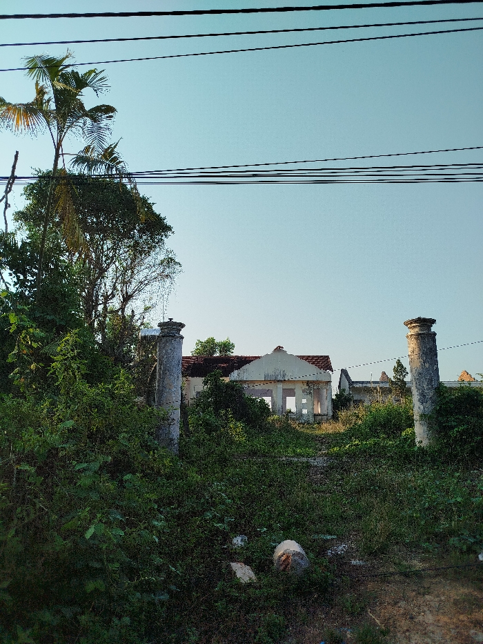This image depicts an abandoned property within the city of Đăk Xú, Vietnam. The foreground consists of dense, wild green vegetation, including overgrown shrubs and weeds, covering the ground where scattered rocks are visible. Two weathered, cylindrical concrete pillars, likely remnants of a gateway, stand vertically in the mid-left and mid-right, partially obscured by the foliage. A narrow, unpaved dirt path leads between these pillars towards the structures in the midground.
The midground features a dilapidated, single-story building complex with a faded, light-colored (possibly cream or off-white) facade exhibiting stains and signs of decay. The central structure presents a prominent gable roof with red tiles, portions of which appear damaged. Numerous empty apertures indicate missing windows and doors, revealing the interior darkness. Additional ruined structures extend to the right of the primary building, further integrated with the surrounding vegetation and trees.
The background is dominated by a clear, light blue sky devoid of clouds. Several dark, horizontal utility wires traverse the upper portion of the frame. Tall green trees, including discernible palm trees, are visible on the left side, rising above the overgrown terrain. No individuals, animals, or active subjects are present within the scene.