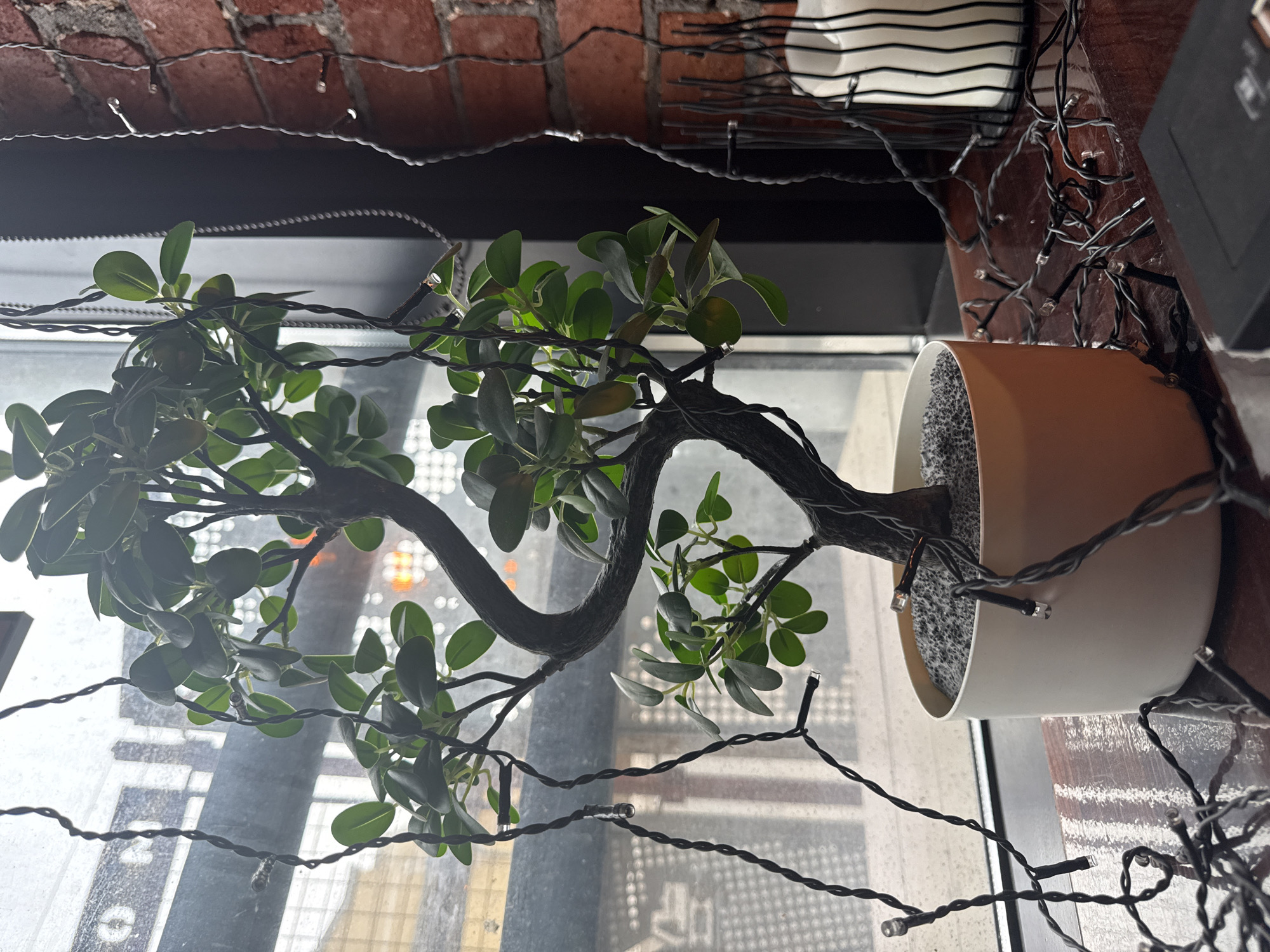 A low-angle, indoor shot depicts a potted plant with a meandering, dark-grey trunk and round, green leaves, positioned in front of a window. The pot is two-toned, featuring a tan upper section and a white base. The pot is filled with dark-grey material which appears to be pebbles. String lights with small, white bulbs are draped around the plant and the surrounding environment. The window shows a blurry view of urban structures with hints of orange light. Above the window is an exposed brick wall. The shot appears to be taken inside a building in an urban area, where the city is possibly Moscow, Russia.