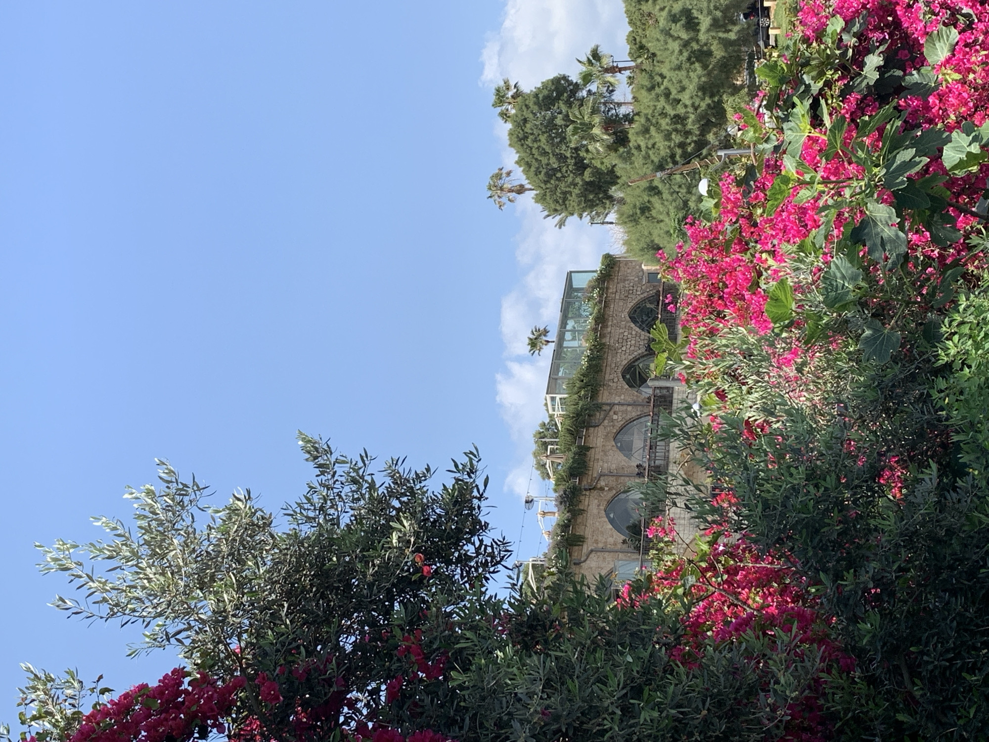 The image shows a building in Tel-Aviv, Israel, viewed from a low angle. The building has multiple stories with arched windows and a glass-enclosed rooftop. Abundant vegetation, including bougainvillea with pink flowers, surrounds the building. The sky is blue with scattered clouds. A palm tree is visible near the building, and other trees are present in the background. Overhead cables are strung between the building and other structures.