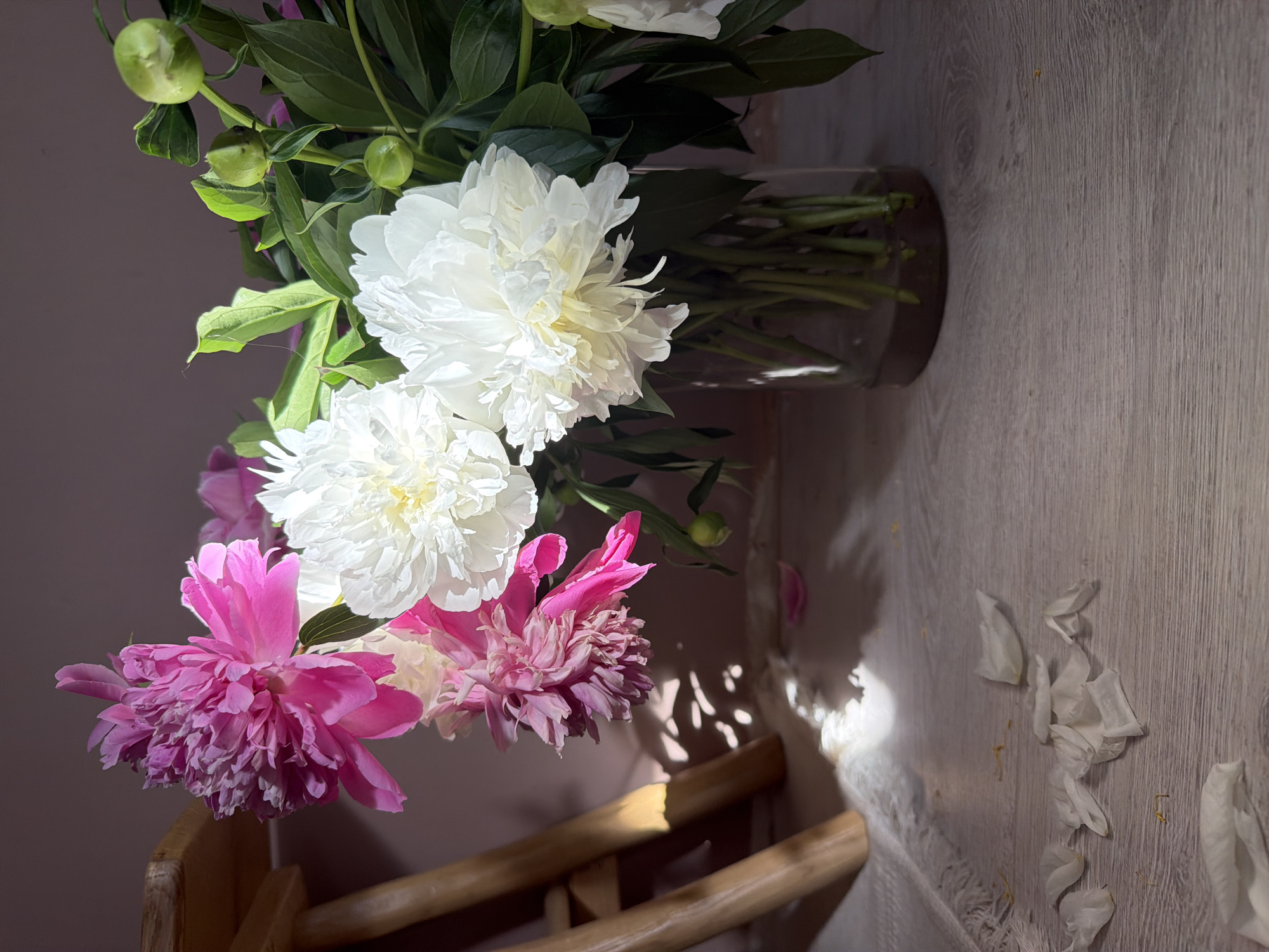A still life photograph captures a bouquet of peonies in various stages of bloom, primarily white and pink, arranged in a clear glass vase. The vase rests on a light-colored wooden surface, possibly a table or floor, with a textured white fabric or rug underneath the left side of the frame. Sunlight streams in from the left, casting dramatic shadows of a wooden stool and the peonies onto a pale pinkish-brown wall in the background. Scattered white petals and a few small yellow remnants are visible on the wooden surface. The scene is devoid of people and suggests an indoor setting, likely a domestic space within Chaikovsky, Russia, due to the provided location context.