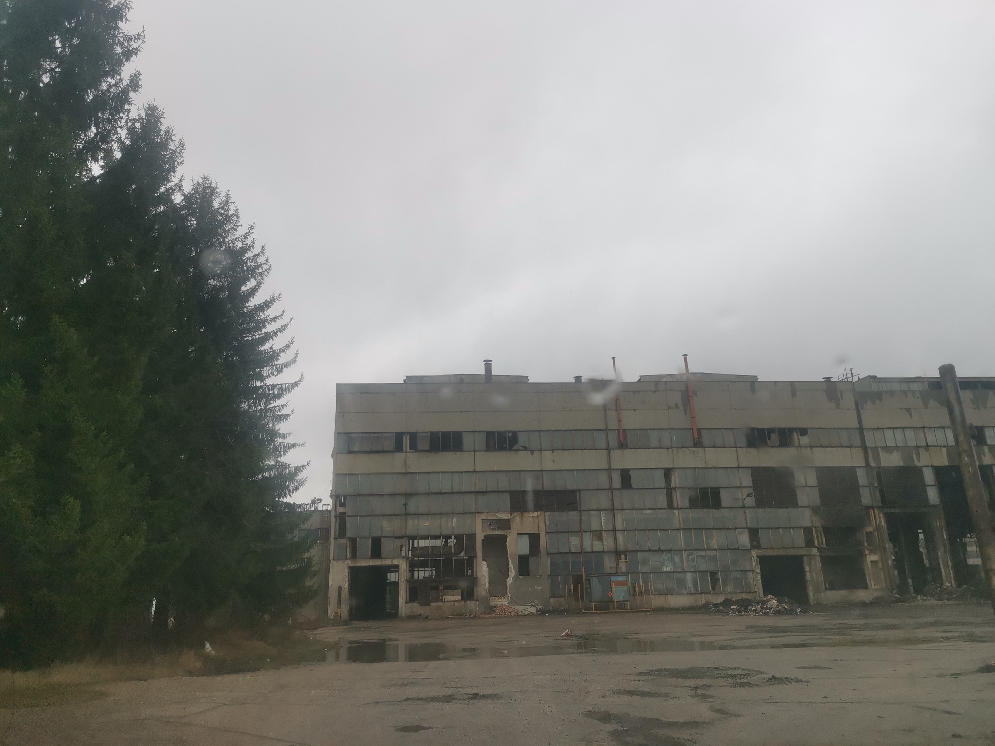 The image depicts an abandoned and dilapidated industrial building located in Zhivkovo, Bulgaria. The building is a multi-story, concrete structure with large window openings, many of which are broken or missing. The facade is stained and weathered. There are tall evergreen trees to the left of the building. The ground in front of the building is paved and wet, with puddles and debris scattered around. The sky is overcast and grey. There are no people visible in the image.