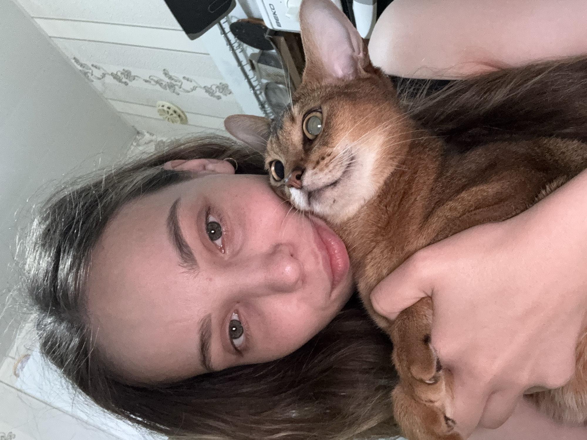 In a close-up, indoor, selfie-style photograph, a young woman with light brown hair and fair skin is holding an Abyssinian cat. The woman's left arm is visible, cradling the cat. The cat, with short, reddish-brown fur, is nestled against the woman's chest, looking upwards and to the right with wide, light-colored eyes. The background consists of a wall with striped wallpaper and some indistinct objects on a shelf, including what appears to be a Beko appliance. The lighting suggests an indoor setting, possibly a home. The image is a candid shot, capturing a moment of interaction between the woman and her pet. There is no discernible information within the image to identify the location as Chaikovsky, Russia.