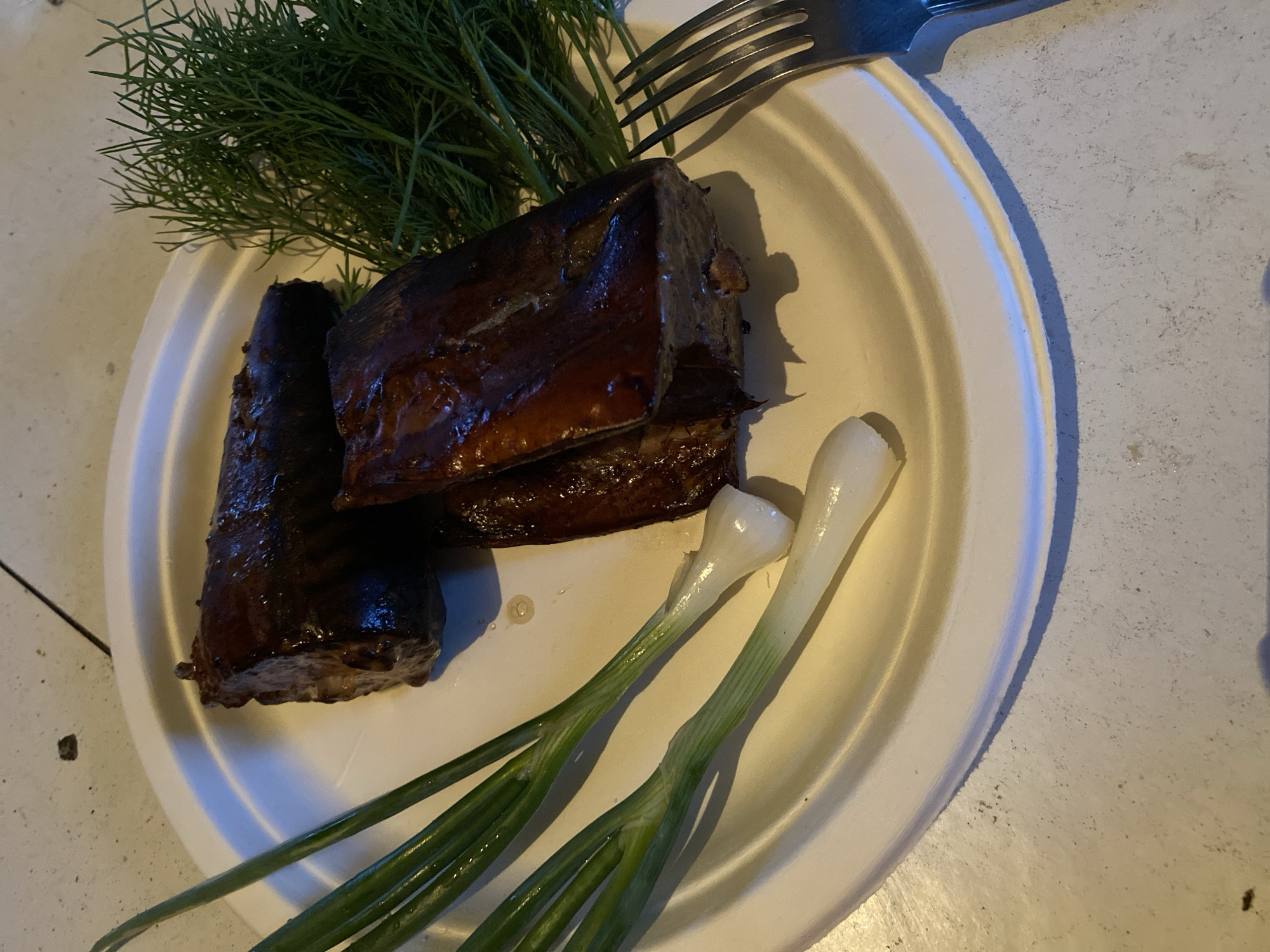 In the city of Chaikovsky, Russia, a white, round disposable paper plate containing a meal is depicted. The plate holds two substantial pieces of dark brown, glossy cooked food, consistent with fish fillets, exhibiting a caramelized surface. To the left, several stalks of fresh green onions with vibrant green tops and white bases are arranged diagonally. A small cluster of fresh, dark green dill sprigs is placed on the upper right side of the plate. A silver four-tine fork is partially visible on the lower right, positioned next to the plate. The plate rests on a light-colored, textured surface, possibly concrete or a similar material, which displays scattered dark specks. No individuals are present.