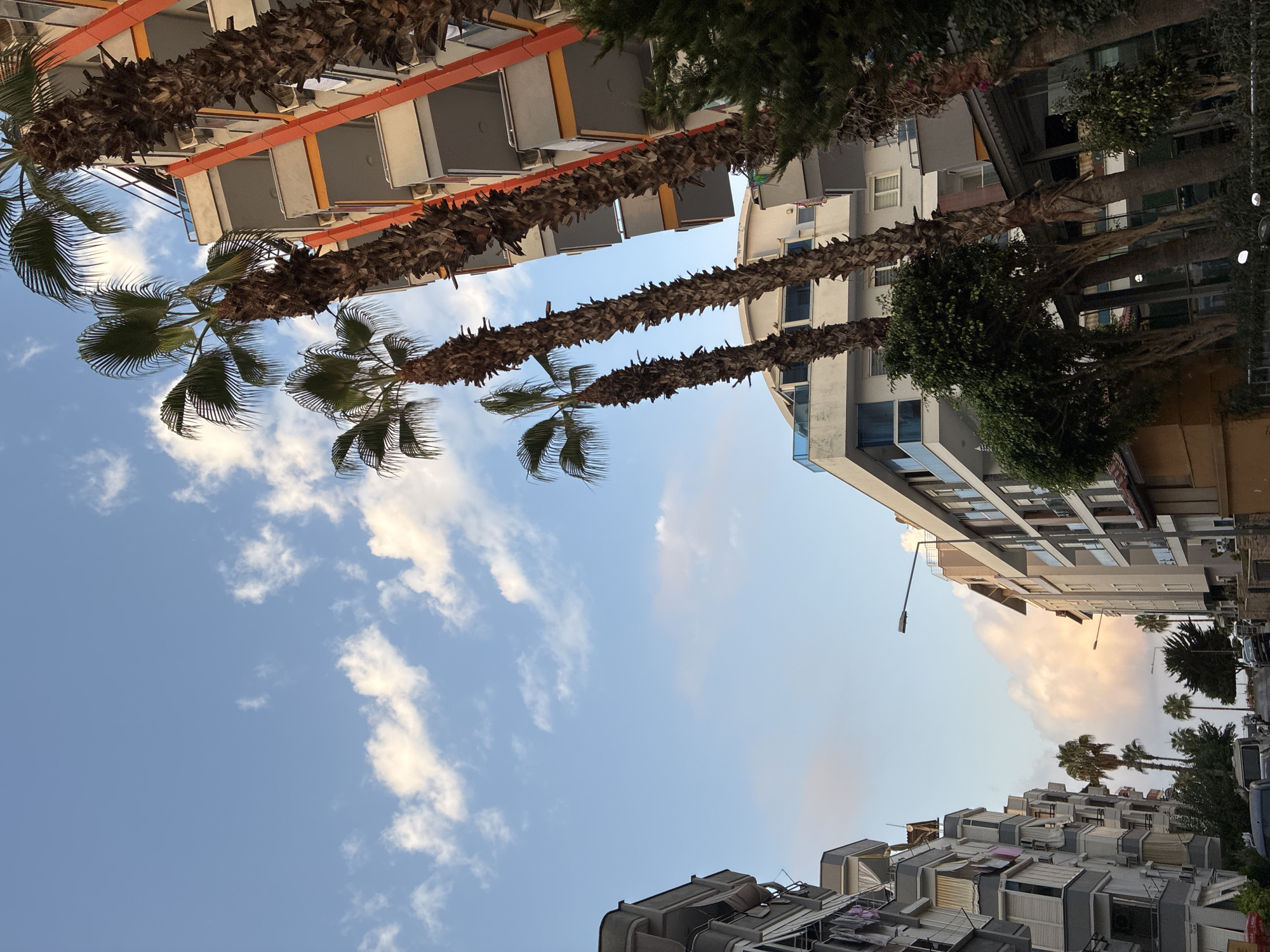 The image captures a street scene in Alanya, Turkey, with apartment buildings lining both sides of the road. Several tall palm trees are prominent in the foreground and mid-ground, with their fronds reaching towards the sky. The buildings are modern, with balconies and a mix of white and grey facades, some featuring orange architectural elements. The sky is blue with scattered white clouds, indicating it is daytime. Streetlights are visible along the road, and parked cars can be seen. The overall impression is of a residential area in a coastal city, likely experiencing pleasant weather.