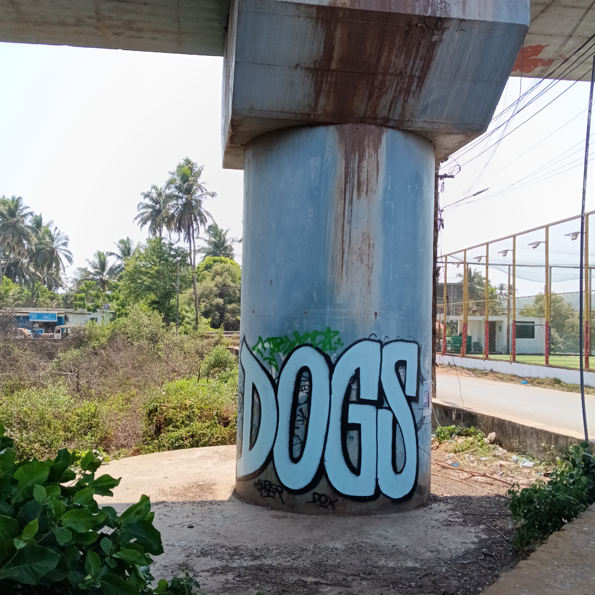 The image depicts a concrete support pillar of an elevated structure, likely a bridge or overpass, located in Chopdem, India. The pillar has been defaced with graffiti, prominently displaying the word "DOGS" in large, stylized letters with a light blue fill and black outline. There is additional, smaller graffiti present as well. The pillar itself is stained and shows signs of weathering.
The background features a lush, tropical landscape with palm trees and dense vegetation, typical of the Goan region. A road runs adjacent to the pillar, with a building and fenced-in area visible on the other side. Debris and vegetation are visible at the base of the pillar. The lighting suggests it is daytime, with a bright, slightly overcast sky. There are no people visible in the scene.