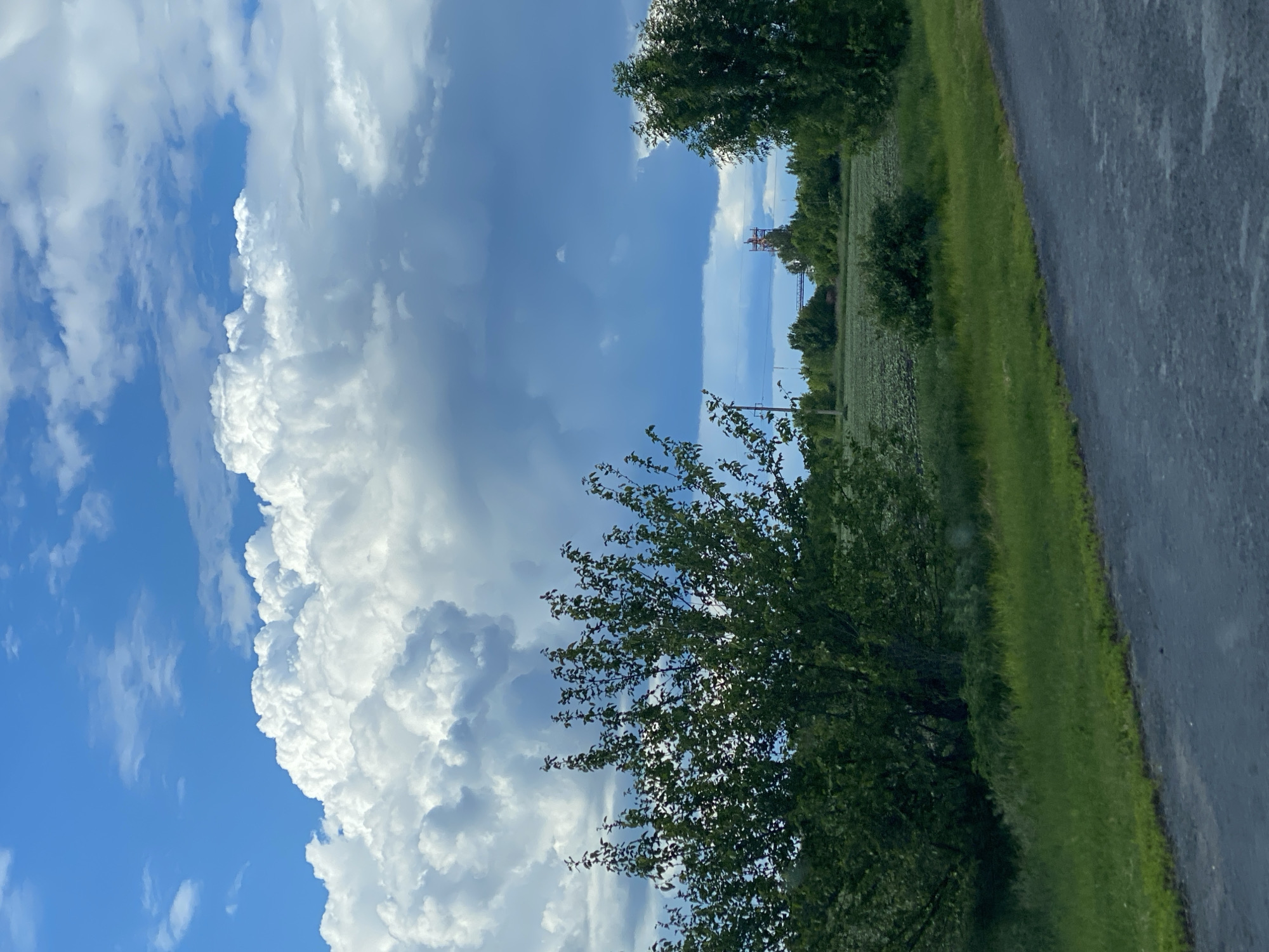 The image shows a roadside scene likely in or near Ustyvytsia, Ukraine, although this cannot be definitively confirmed from the image itself. The scene is dominated by a large, towering cumulonimbus cloud formation occupying a significant portion of the left side of the frame. The sky transitions from clear blue near the cloud to a more overcast and gray area in the upper center of the image. A tree with green leaves is visible in the foreground, partially obscuring the view. To the right of the tree, a green field extends into the distance, bordered by a line of trees and bushes. A gray asphalt road runs along the right edge of the frame, separating the grassy roadside from the field. In the distance, a transmission tower is faintly visible against the horizon. There are no people or discernible objects indicating a specific location within the city.