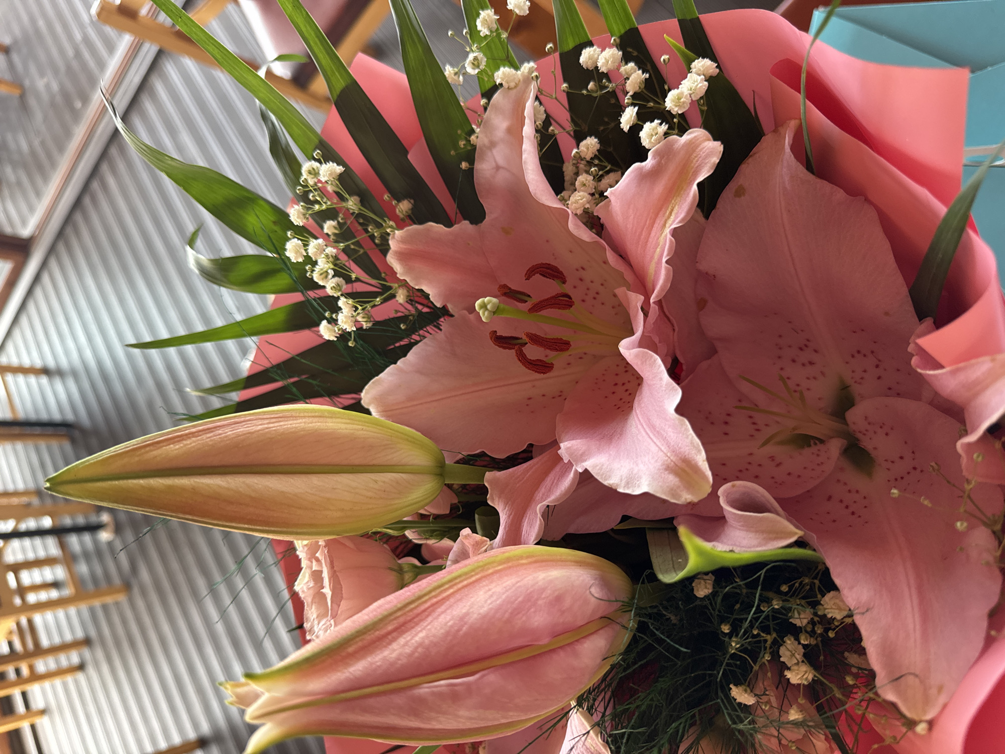 This is a close-up, eye-level shot of a bouquet of pink lilies and roses, adorned with baby's breath, and wrapped in pink and teal paper. The flowers are in various stages of bloom, with some lilies fully open and others still in bud. The background suggests an indoor setting with wooden furniture and a grey, slatted floor, possibly a cafe or restaurant. The lighting is natural and soft. There are no people or animals visible in the image. The scene does not depict any specific landmarks or activities that would place it in Sozopol, Bulgaria.