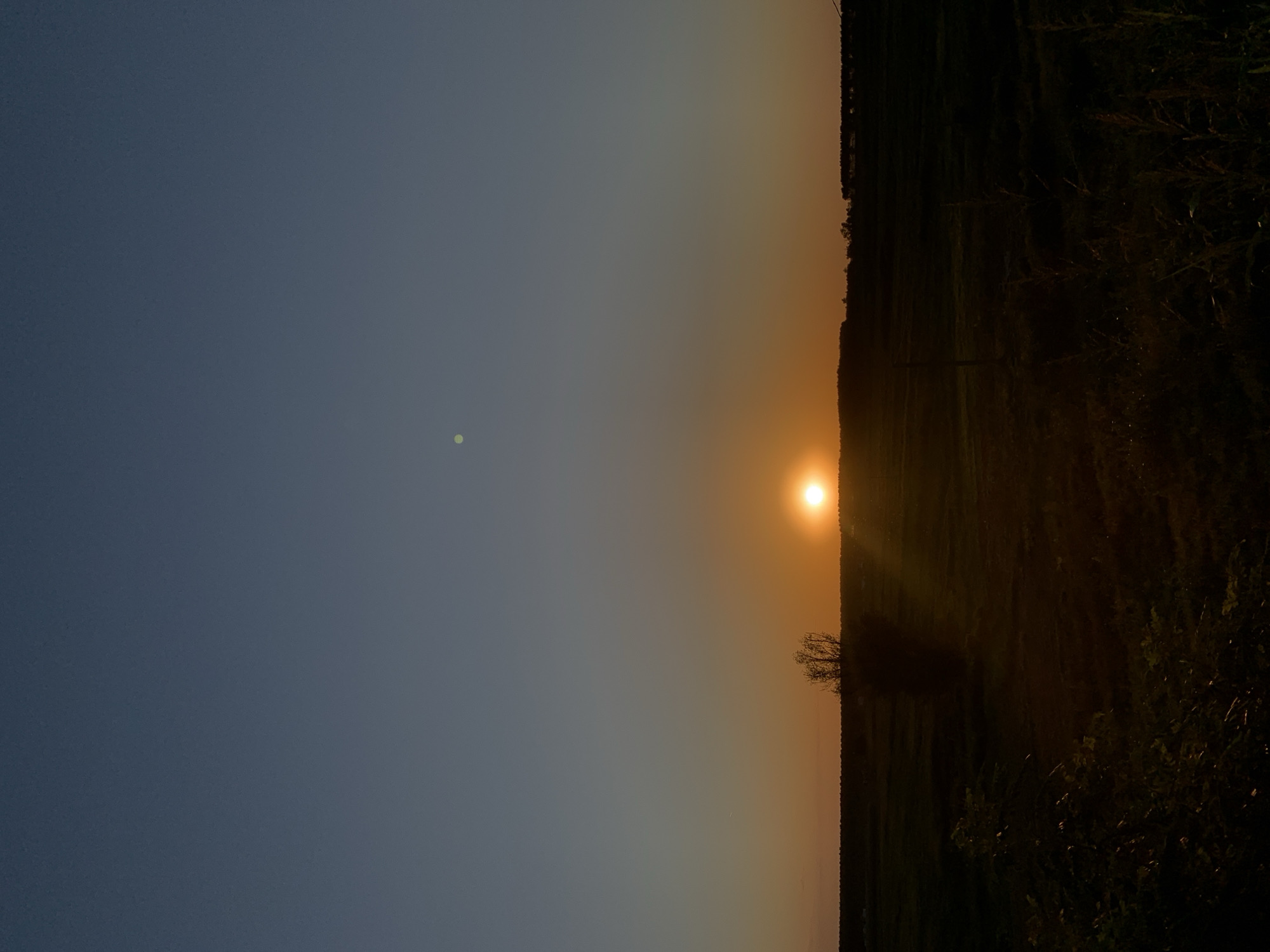 This is a vertical, full-shot photograph of a sunset over a flat, rural landscape. The sky transitions from a deep, clear blue at the top of the frame to a soft orange hue near the horizon. A bright, full sun is positioned just above the horizon, casting long shadows across the dark, silhouetted ground. In the mid-ground, a lone, bare tree stands out against the colorful sky, its branches stark and skeletal. The foreground is composed of dark, indistinct foliage. The overall atmosphere is serene and tranquil. While the image depicts a natural scene, there are no identifiable landmarks or structures that would definitively place it in Codigoro, Italy. The landscape is generic for a rural setting.