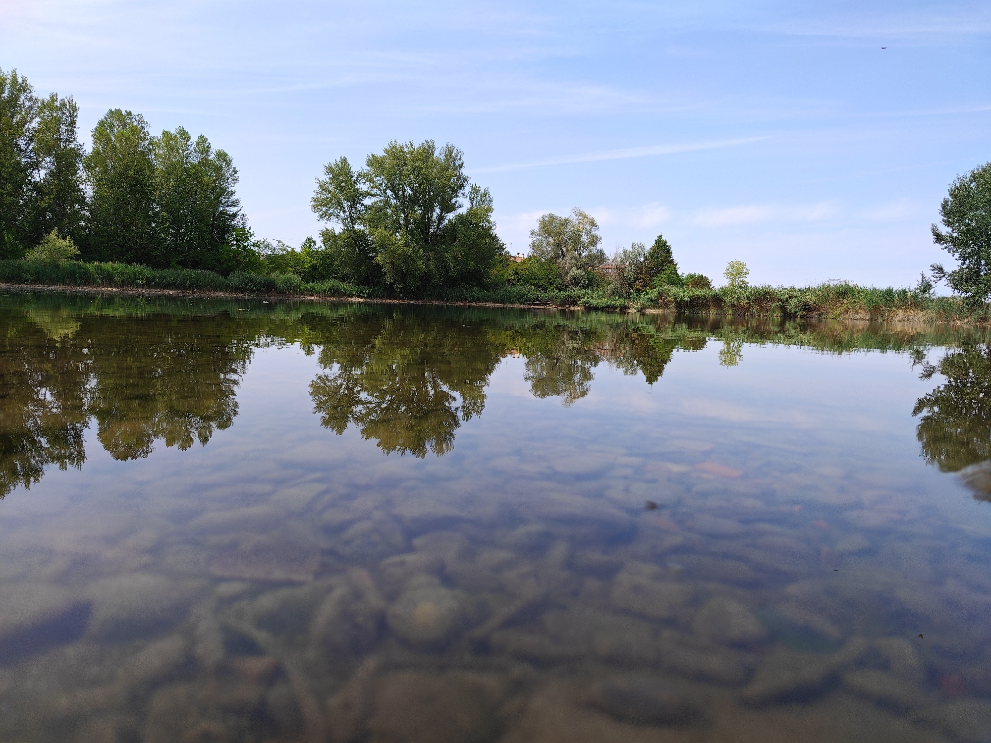 This is a low-angle, wide shot of a calm river on a clear day. The foreground shows the riverbed with visible stones beneath the clear water. The water reflects the trees and the pale blue sky with wispy clouds. A lush green tree line borders the opposite bank, with a variety of deciduous trees and some reeds. The scene appears to be a natural setting, likely a river or a large canal, in a rural or semi-rural area. The location is not specifically identifiable as being within the city of Modena, Italy, as there are no distinct Modena landmarks or cityscapes visible. The image captures a peaceful, natural landscape.